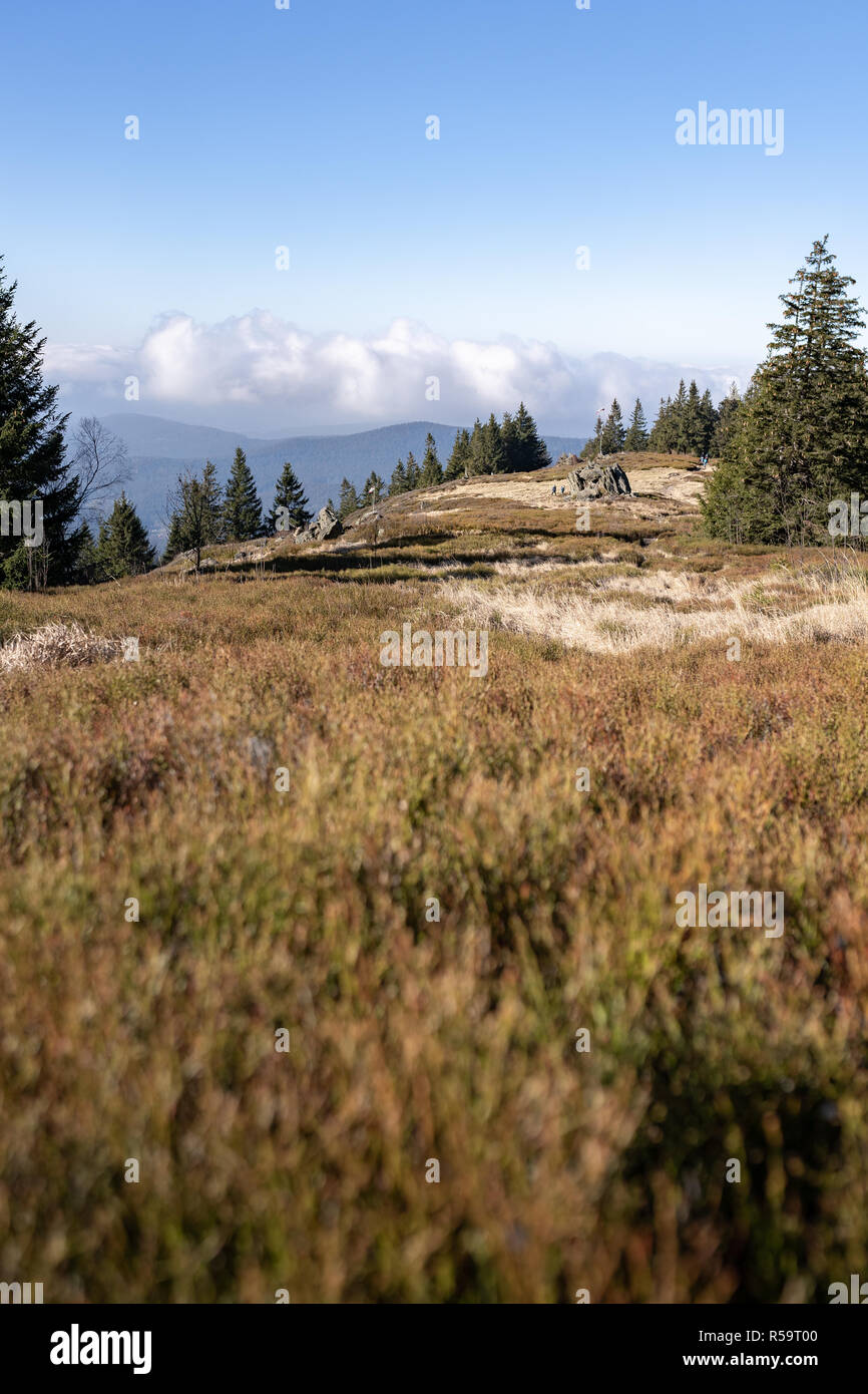 Hiking in the upper bavarian forest in the near of the Osser, germany. Stock Photo