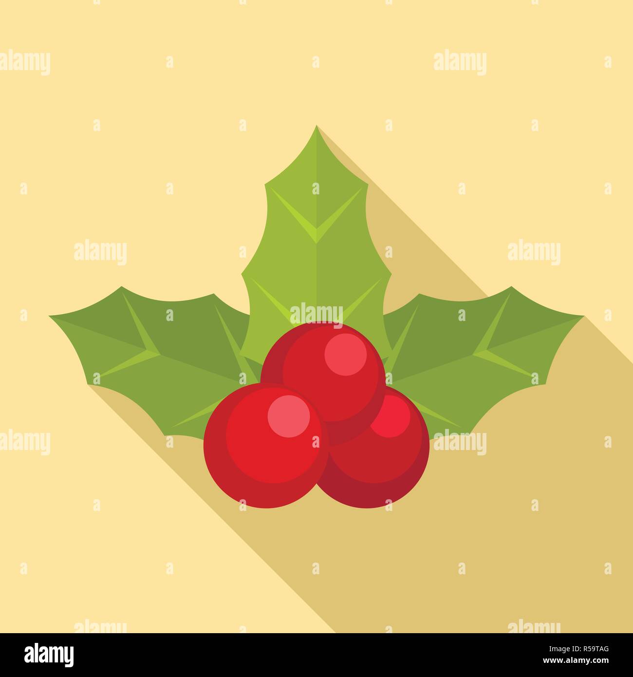 English holly tree Stock Vector Images - Alamy