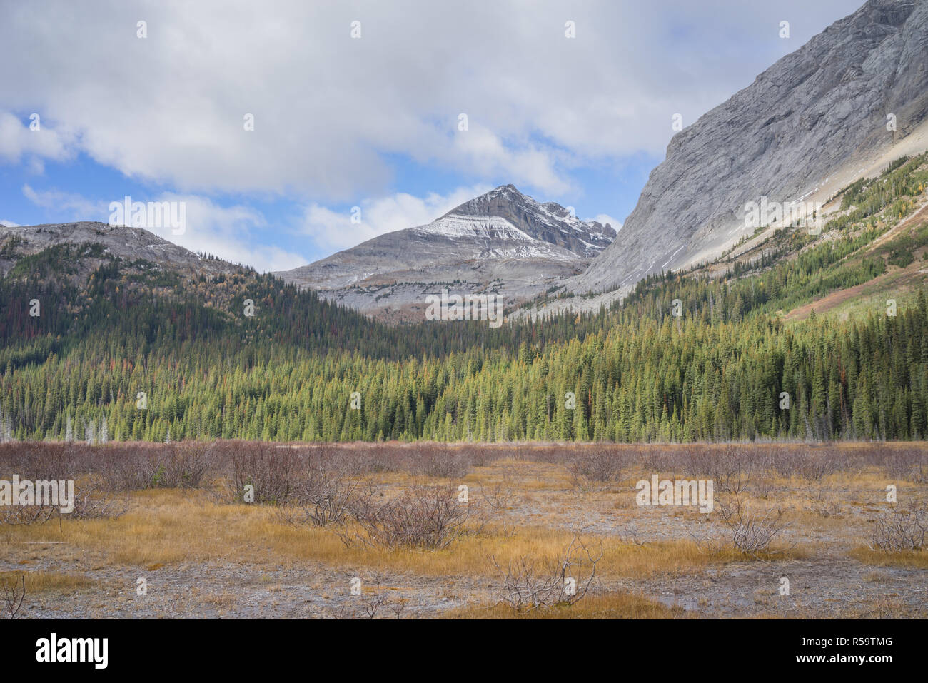 Burstall Pass, Kananaskis, Alberta Stock Photo Alamy