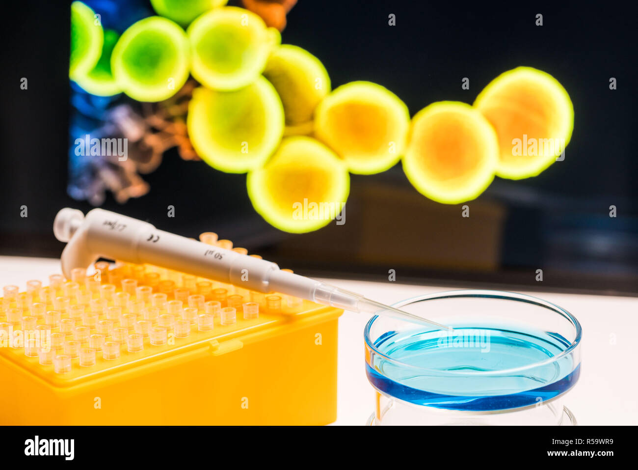 Illustration of research in bacteriology ( resistance against a certain antibiotic substance ). Stock Photo