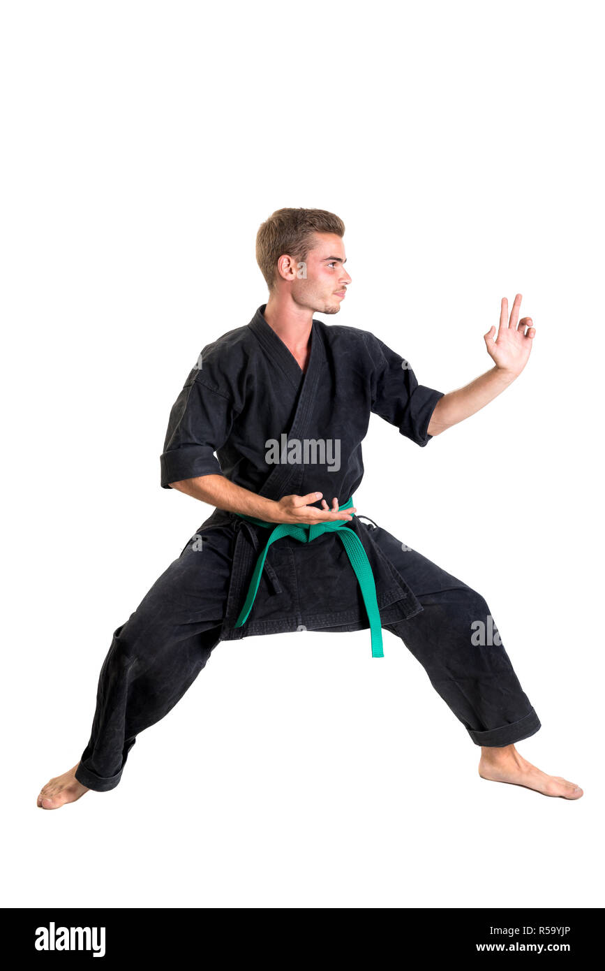 Martial arts student Stock Photo Alamy