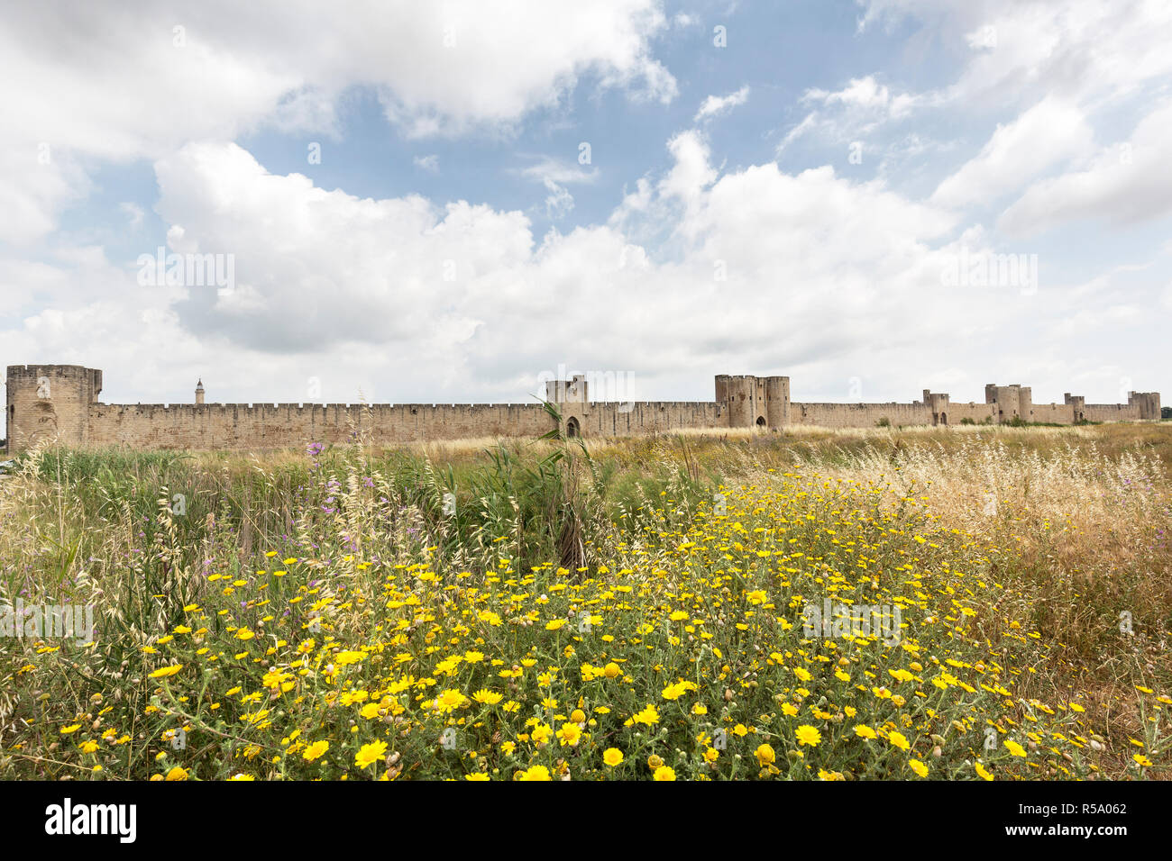 the fortress of aigues-mortes in the camargue,southern france Stock Photo
