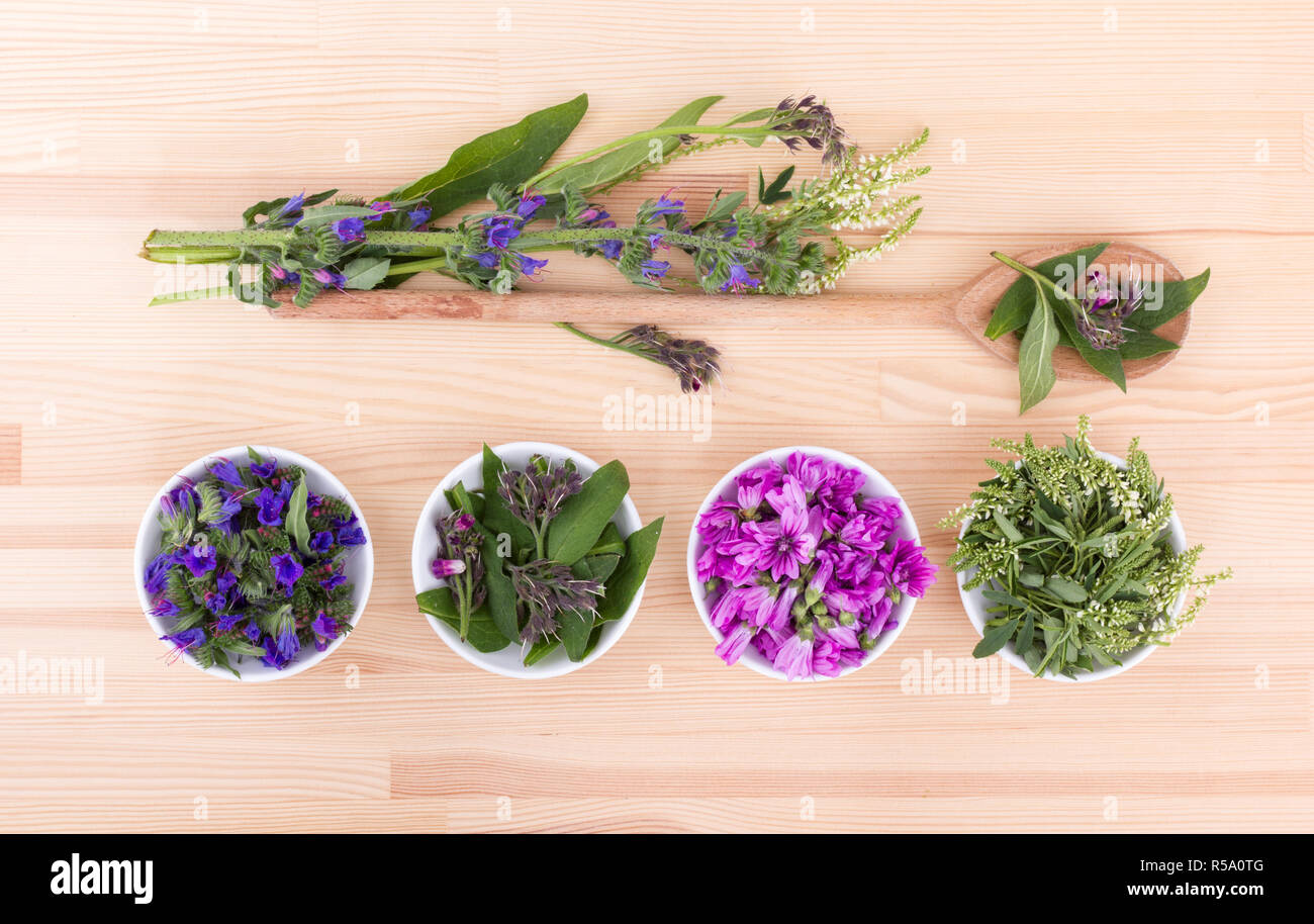 Hollyhock tea hires stock photography and images Alamy