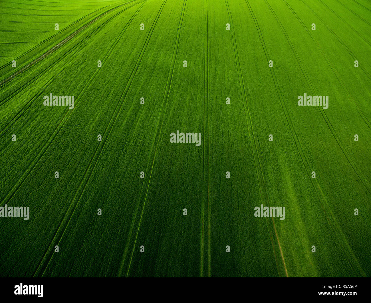 Farmland from above - aerial image of a lush green filed Stock Photo ...