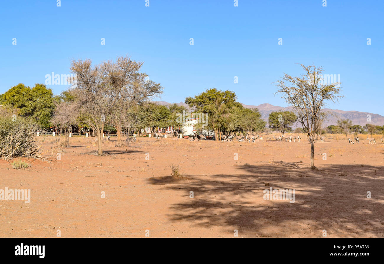 settlement in namibia Stock Photo Alamy