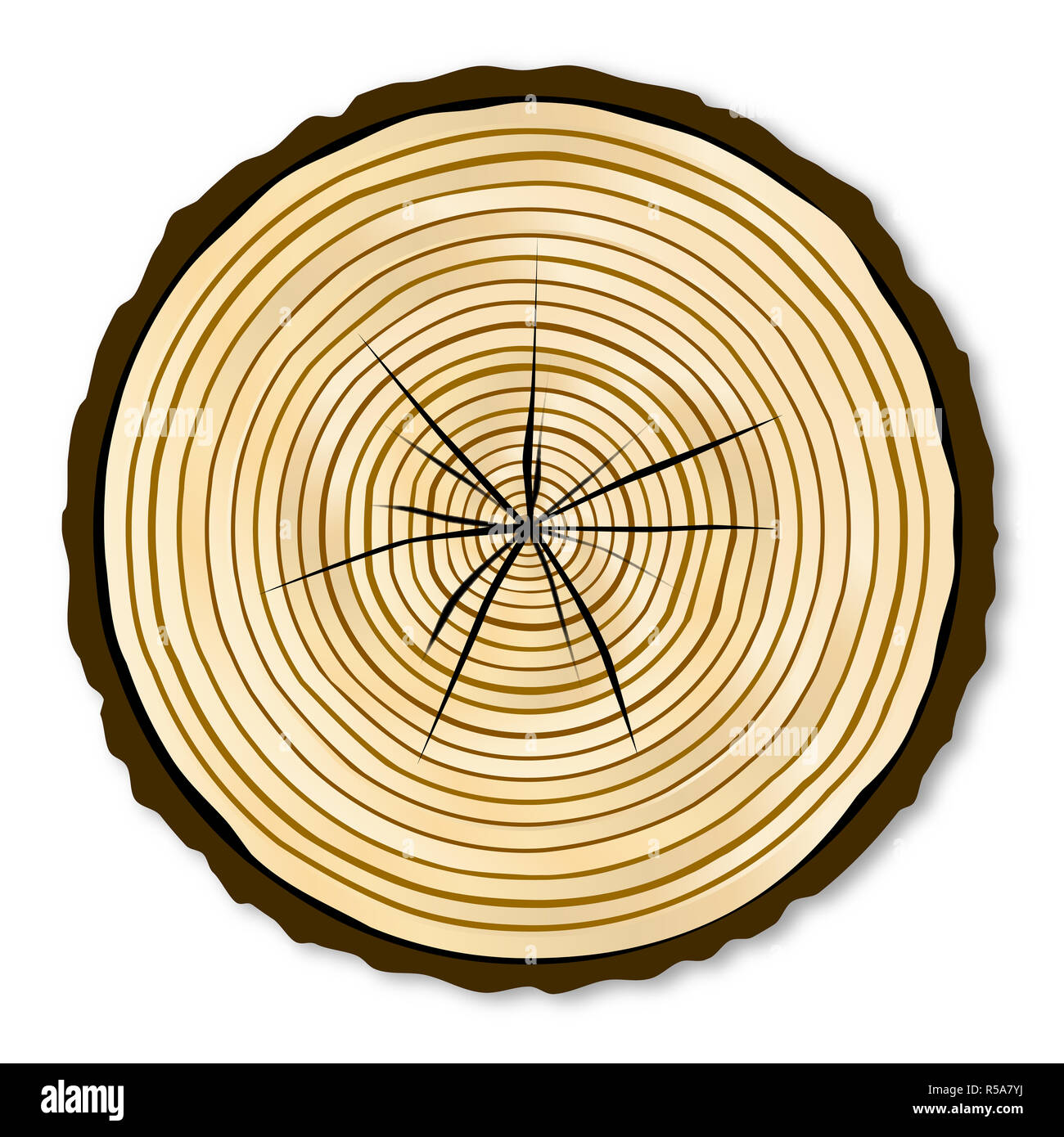 Log End Pale Log End Stock Photo - Alamy