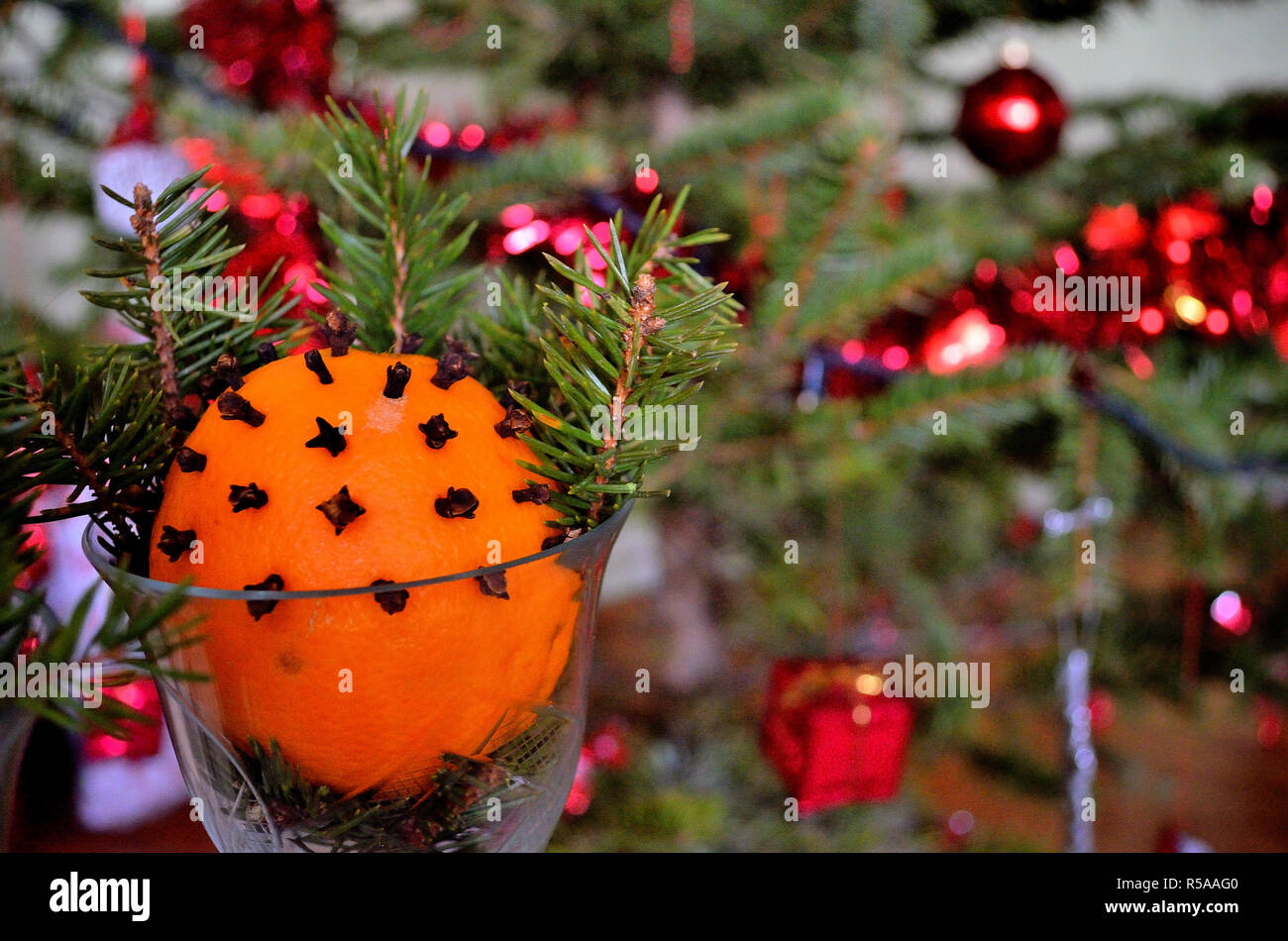 Close-up of Christmas Orange with Christmas Tree on the background Stock Photo