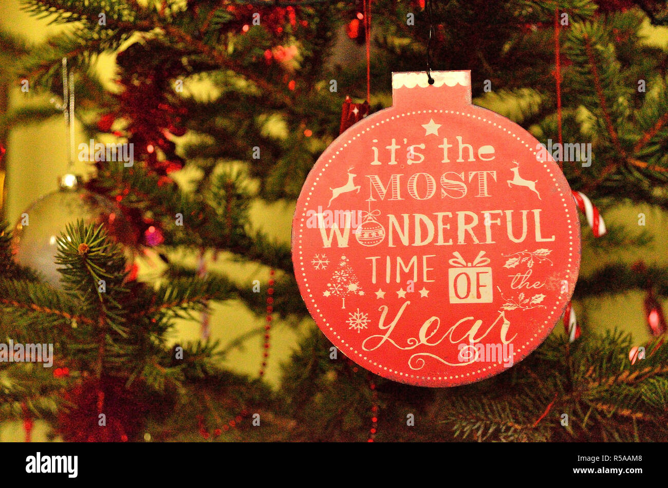 It's the Most Wonderful Time of the Year Print {8x10}