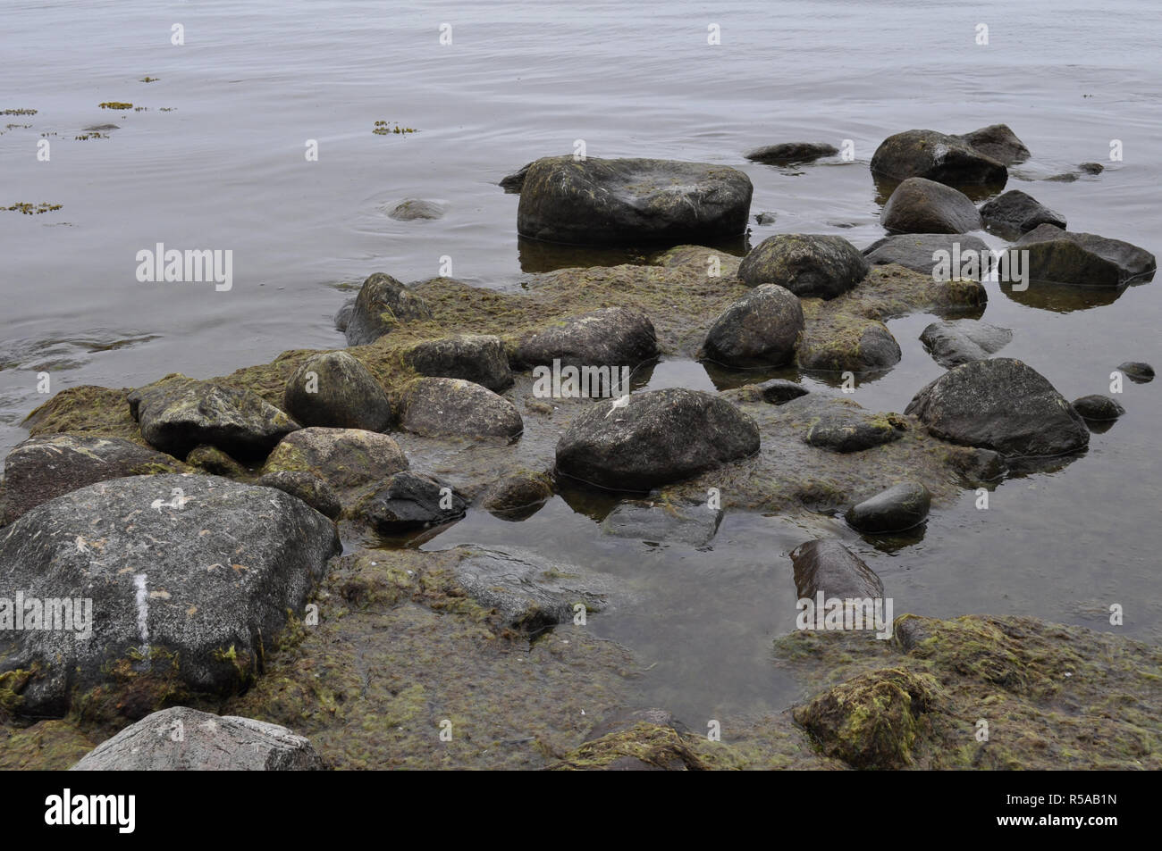 stones in the water,at the seashore Stock Photo