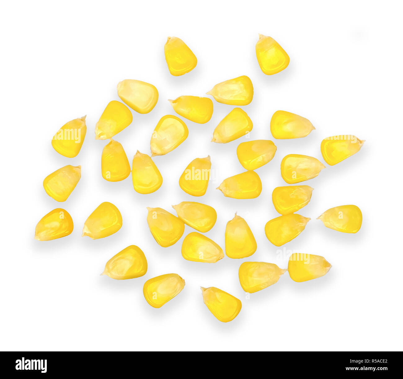 Corn isolated on white with top view Stock Photo - Alamy