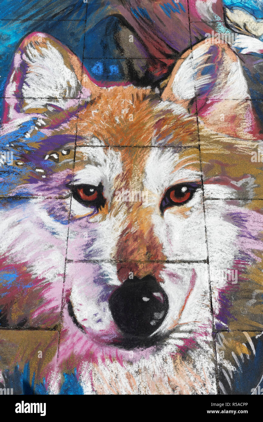 Dog, wolf, street painting, street art, Geldern, Nordrhein-Wesfalen, Germany Stock Photo