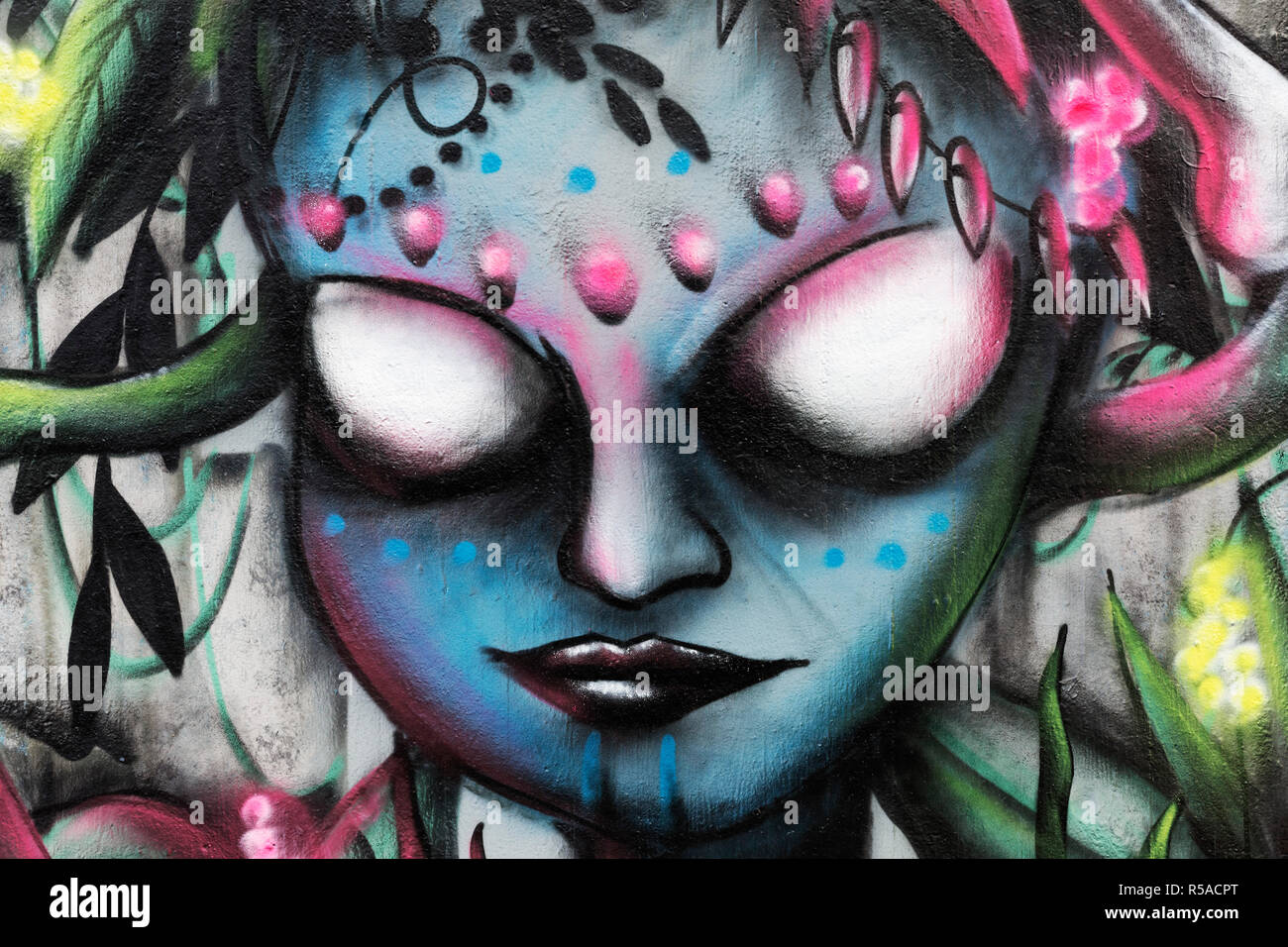 Graffiti, Woman without eyes, Headdress from snakes and bones, Portrait, Fantasy, Streetart, Hall of Fame Düsseldorf Stock Photo