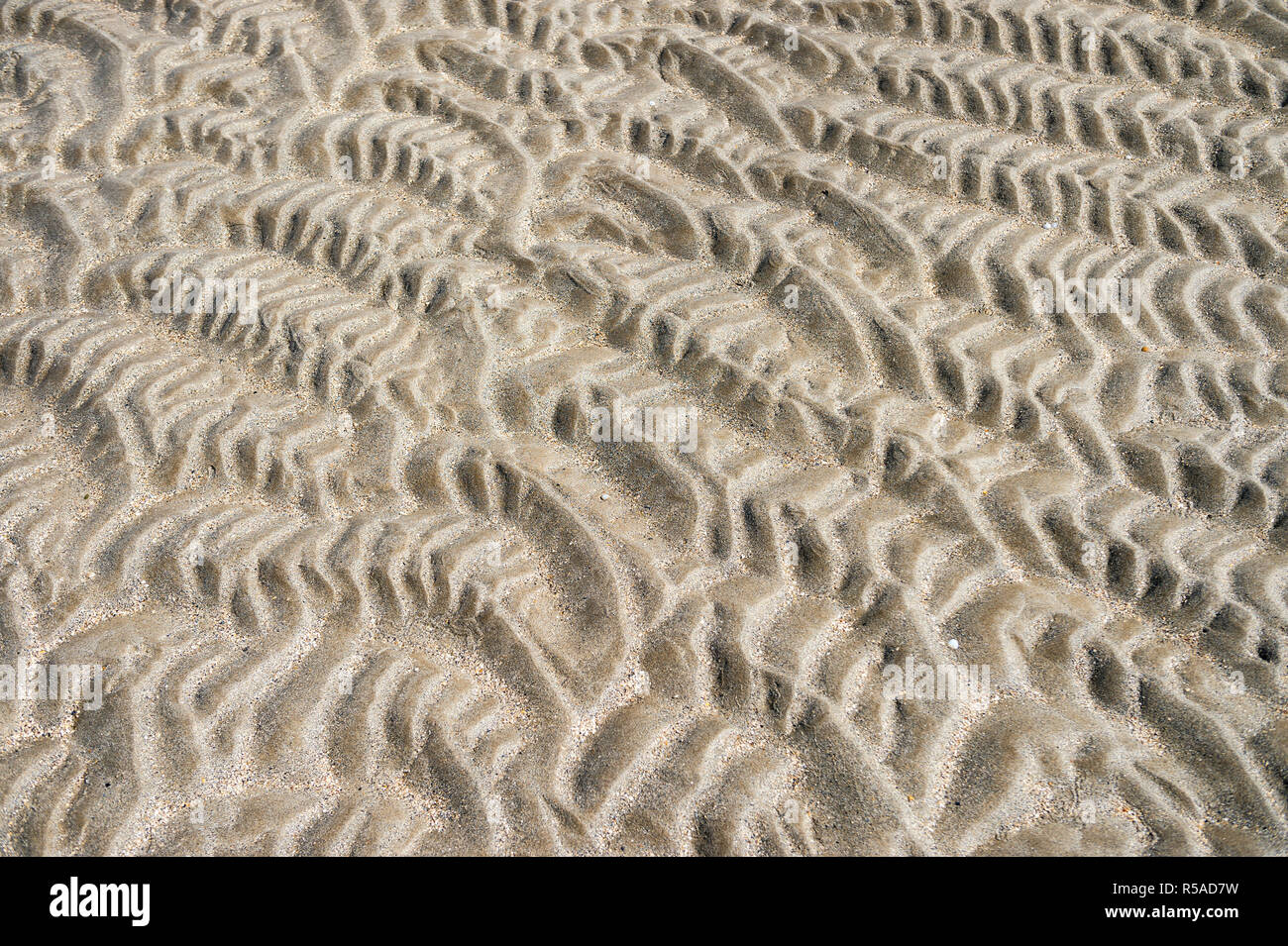 Natural textured background of wave patterns left at low tide in silky sand in a full frame abstract close up Stock Photo