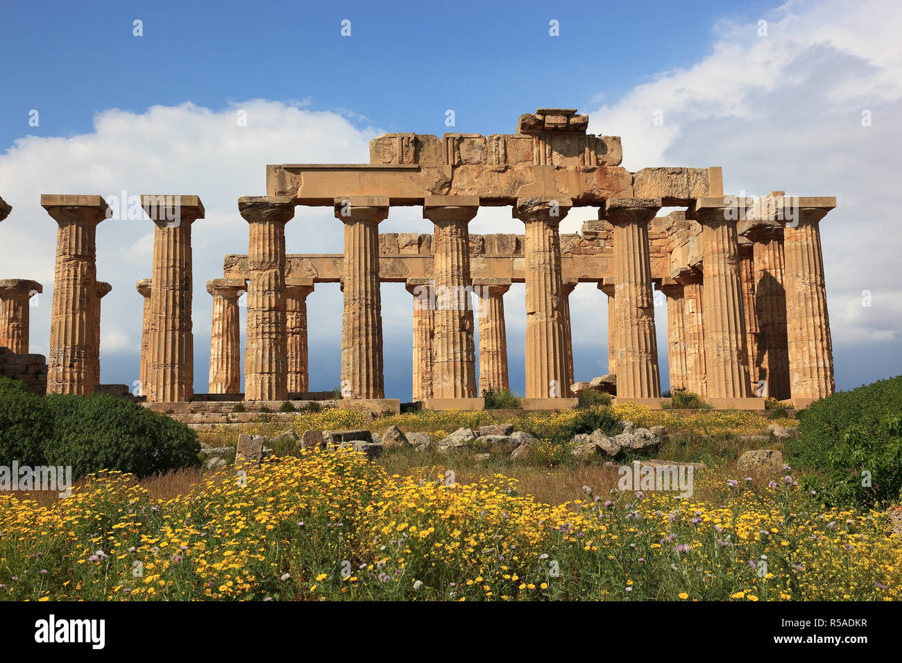 Columns as remains, temple E with blossoming flowers, archaeological site, Selinunte, Sicily, Italy Stock Photo