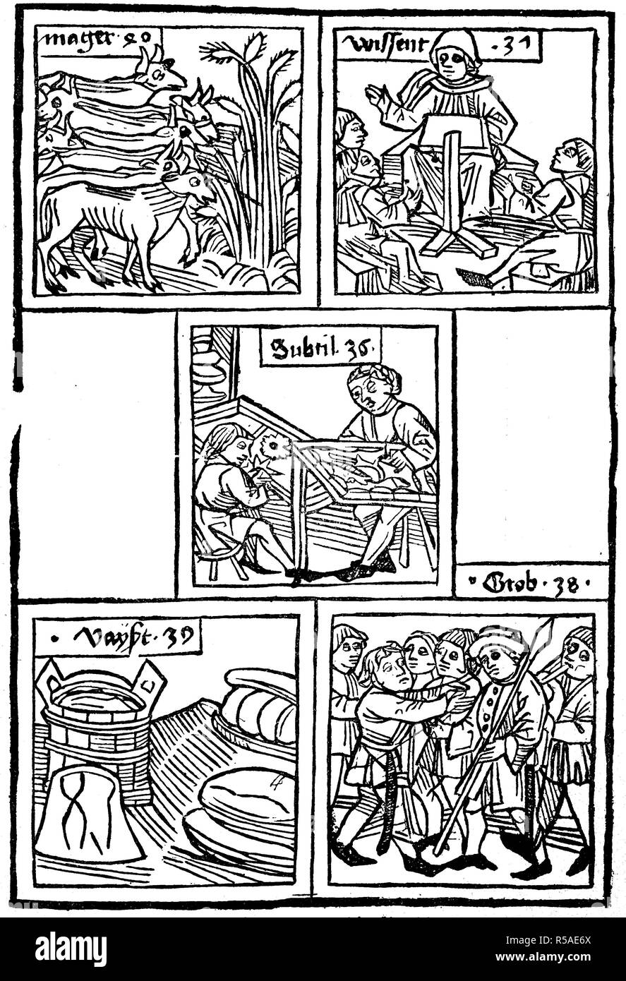 Images for the lesson about the words: lean, knowing, subtle, fine, coarse, from Ars memorativa, 1475, woodcut, Germany Stock Photo