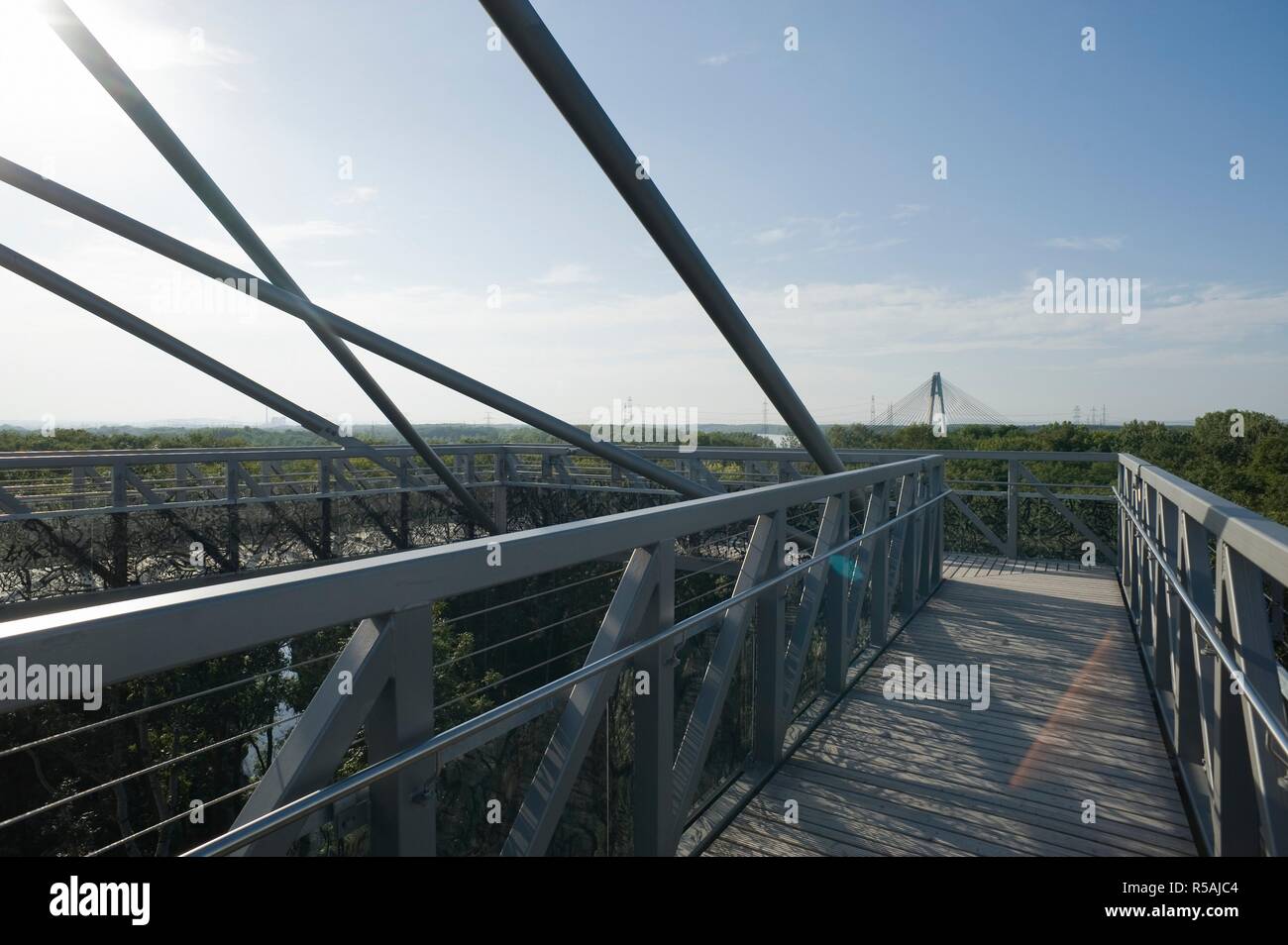 Österreich, Niederösterreich, Tulln, Gartenschau 2008, Baumwipfelweg, Architekt Ernst Maurer 2008 - Austria, Lower Austria, Tulln, Garden Exhibition 2 Stock Photo