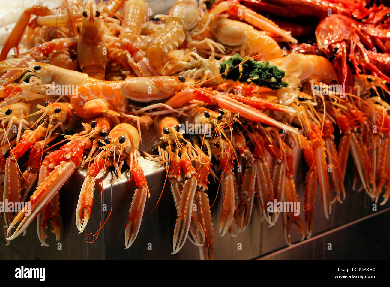 lobster Stock Photo Alamy