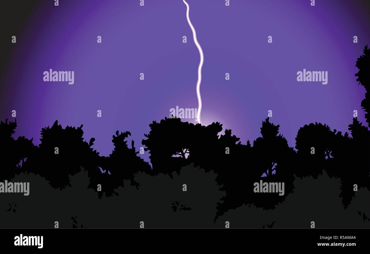 Vector illustration of a lightning hitting a forest in the night Purple ...