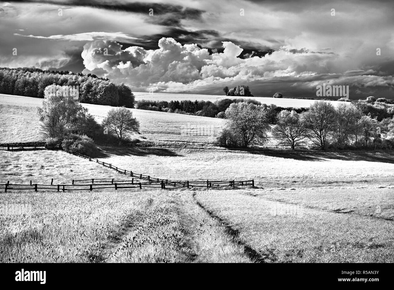 landscape in the taunus Stock Photo