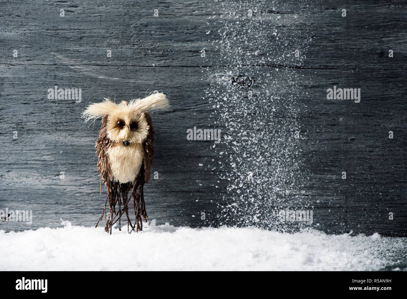 Happy owl hi-res stock photography and images - Alamy