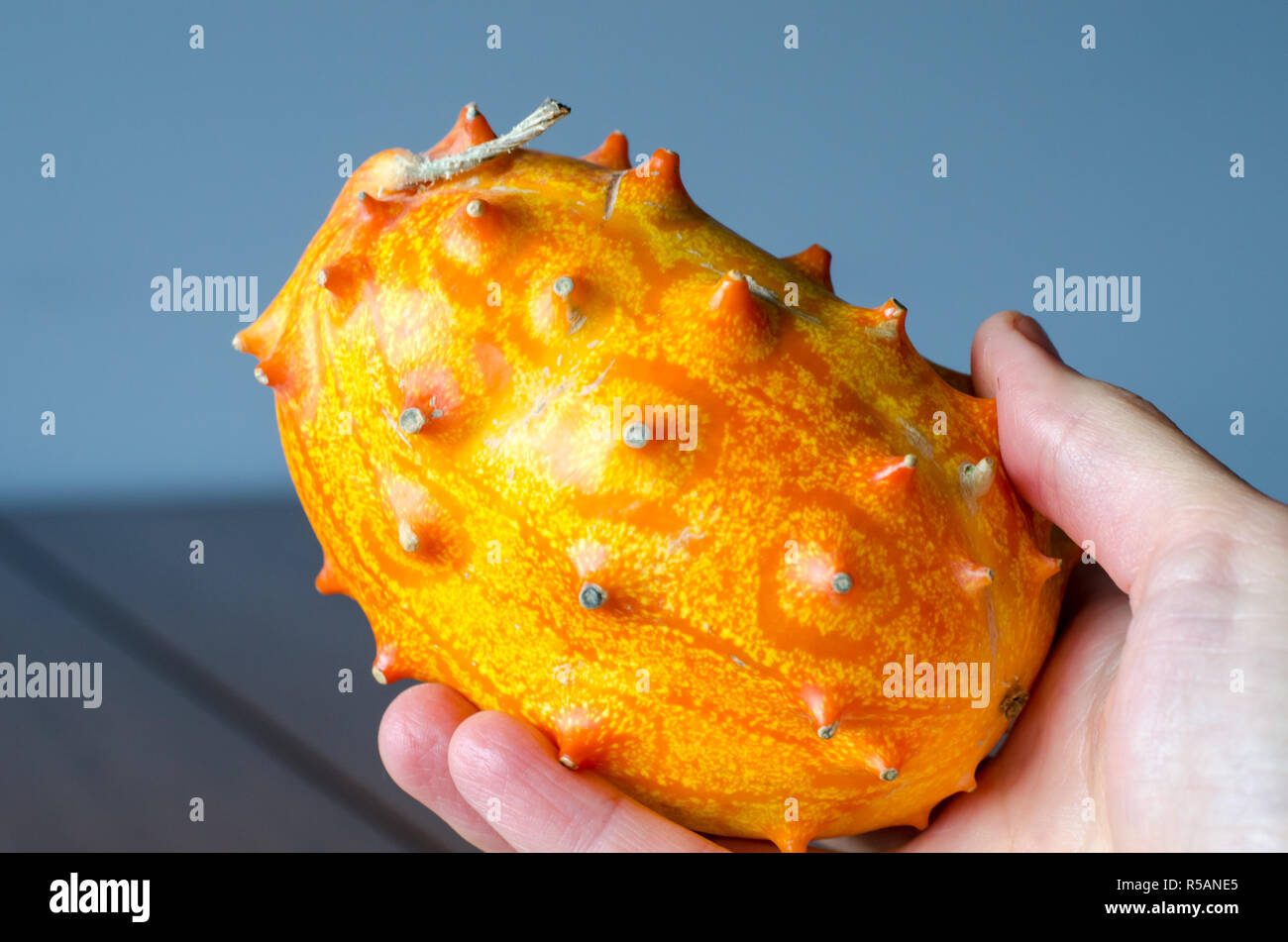 Fruit Kivano (Kiwano) melon in hand on wooden background. Close up