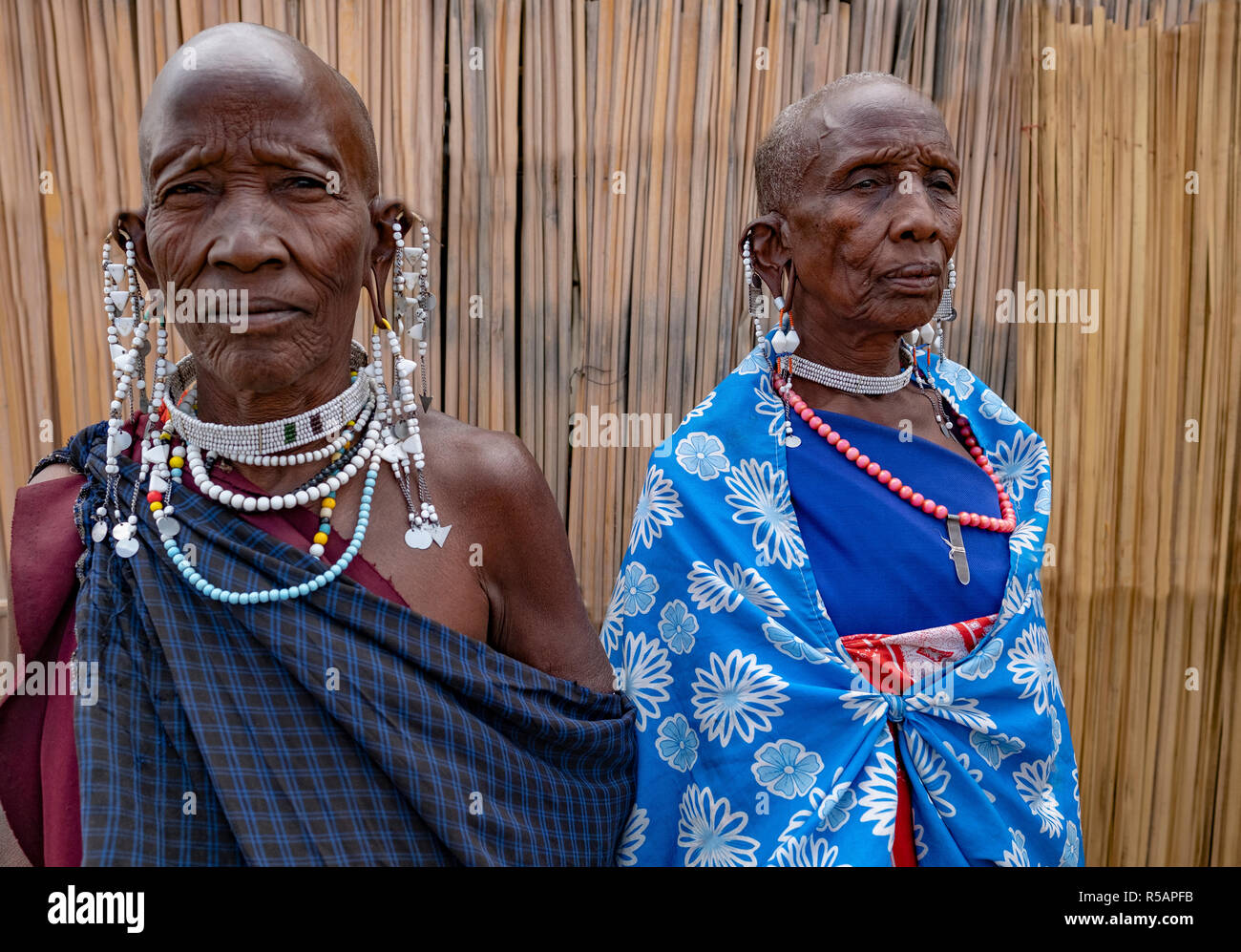 Two older Masai women in traditional dress and wearing traditional jewelry  including earrings and necklaces Stock Photo - Alamy