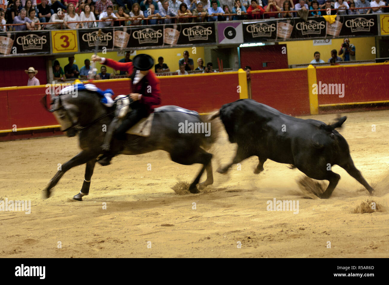 Medellin, Colombia, La Macarena Stadium, Bullfighting Festival, Picadore On Horseback Dances With The Bull Stock Photo