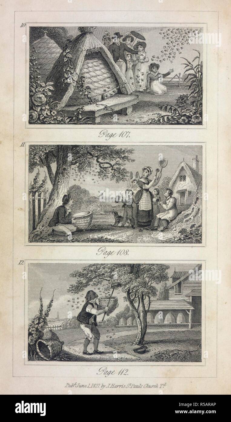 Scenes showing beekeeping. Scenes of Industry displayed in the Bee-Hive and the Ant-Hill. London : John Harris, [1829?]. Source: RB.23.a.1597, opposite page 107. Language: English. Author: Johnstone, Mrs C. I. Stock Photo