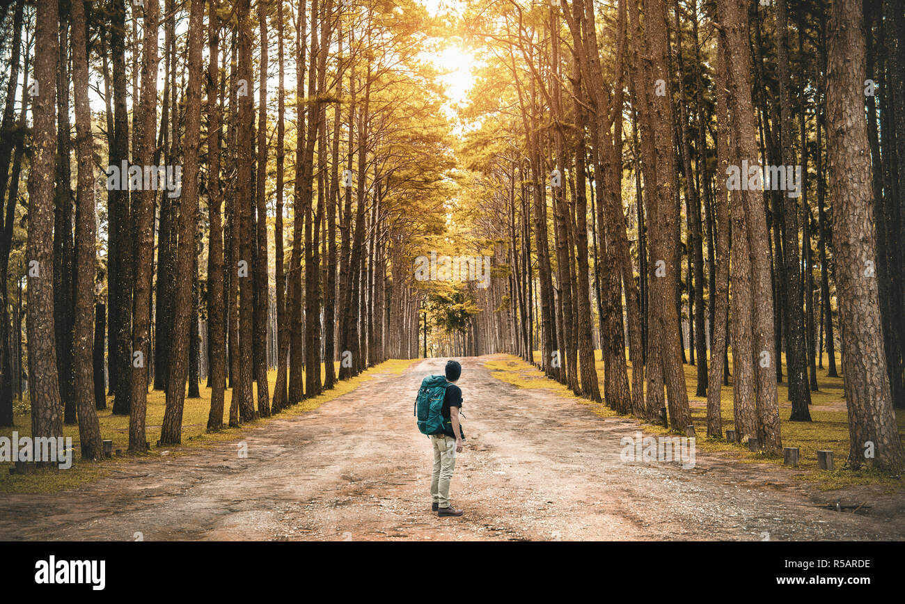 A young guy with a backpack traveler standing in the woods. Back view Stock Photo
