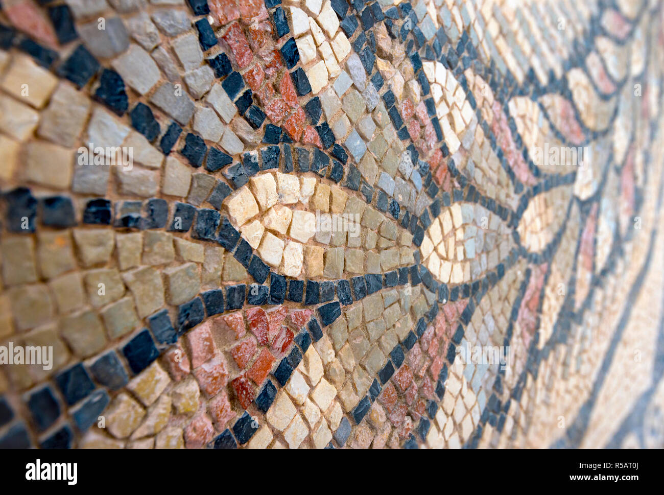 Croatia, Istria, Porec, Euphrasian Basilica (Eufrazijeva bazilika), 4th Century Floor Mosaic Stock Photo