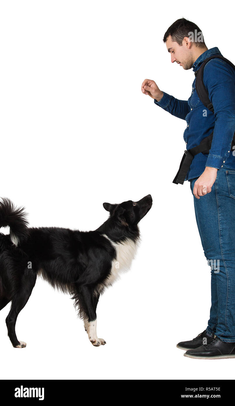 Young man give command to his border collie dog pet showing with hand