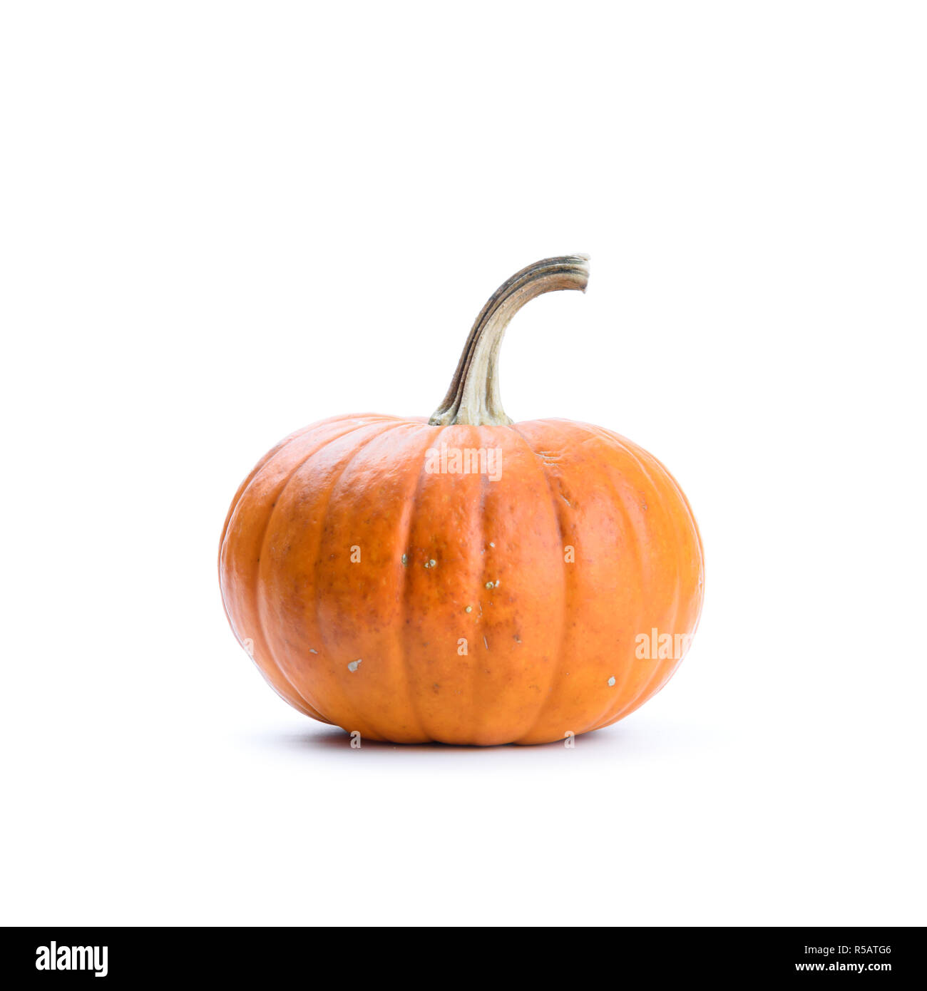 Pumpkin on white background isolated. Food photography Stock Photo