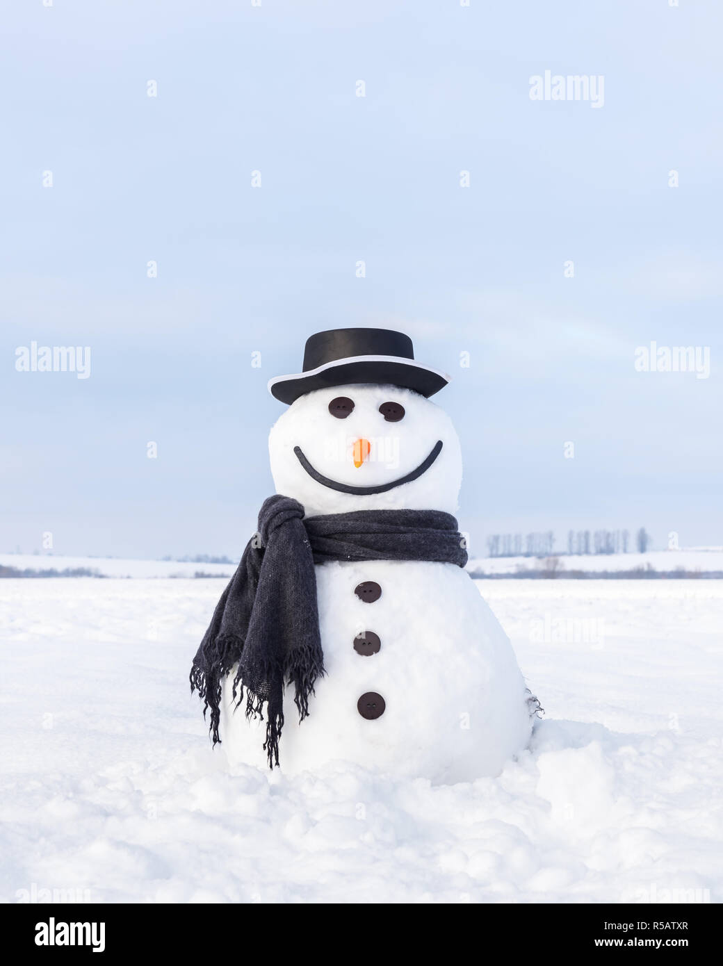 Funny snowman in stylish hat and black scalf on snowy field. Merry Christmass and happy New Year! Stock Photo