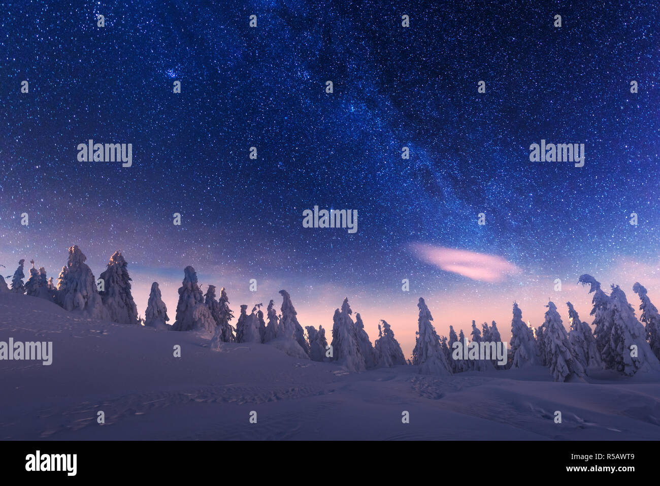 Fantastic winter landscape glowing by star light. Dramatic wintry scene with snowy trees and milky way in night sky. Carpathians, Europe. Stock Photo