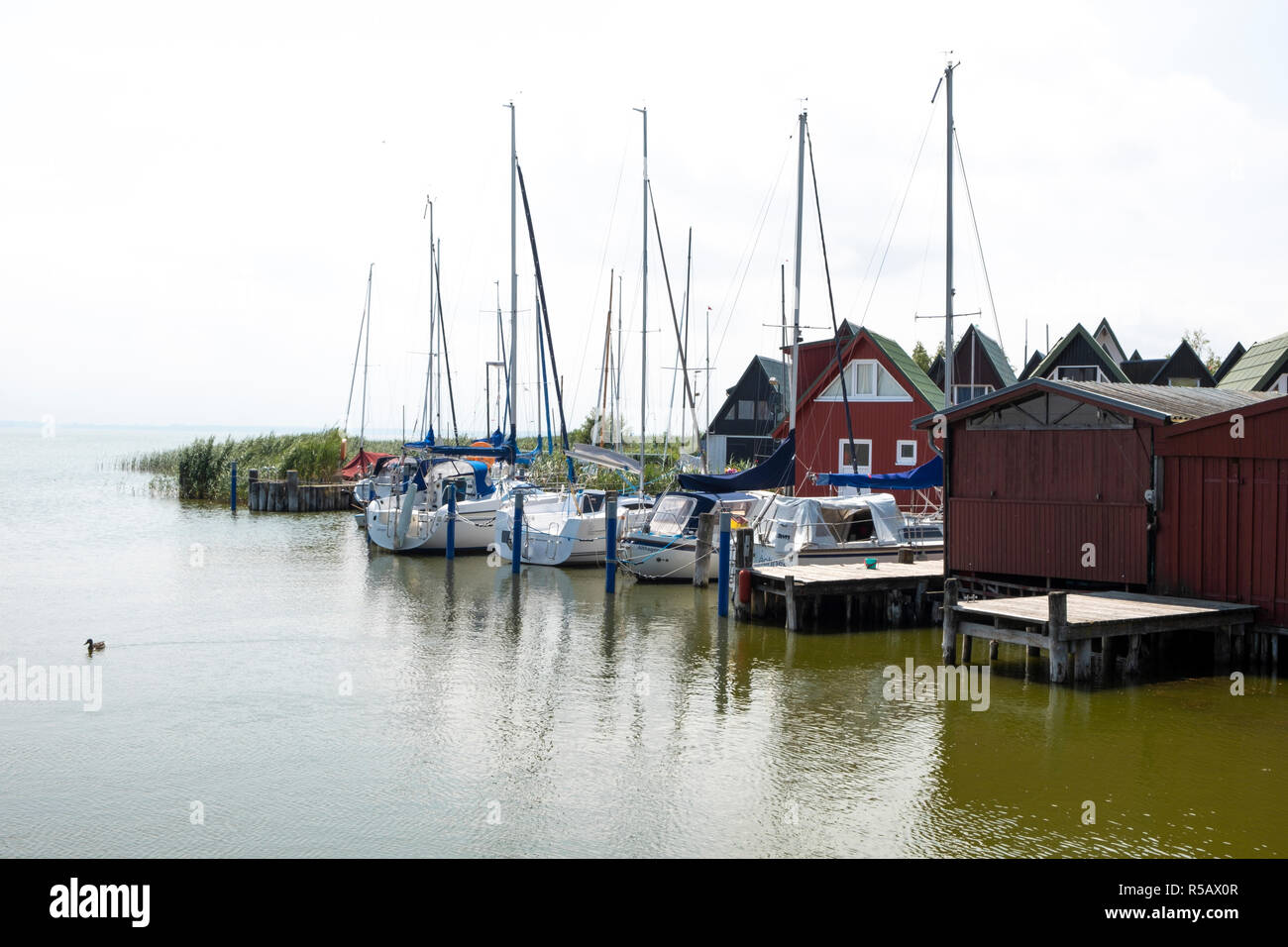 Sailboats in the harbor, Althagen near Ahrenshoop, Darss Fischland Zingst, Mecklenburg-Western Pomerania, Germany Stock Photo