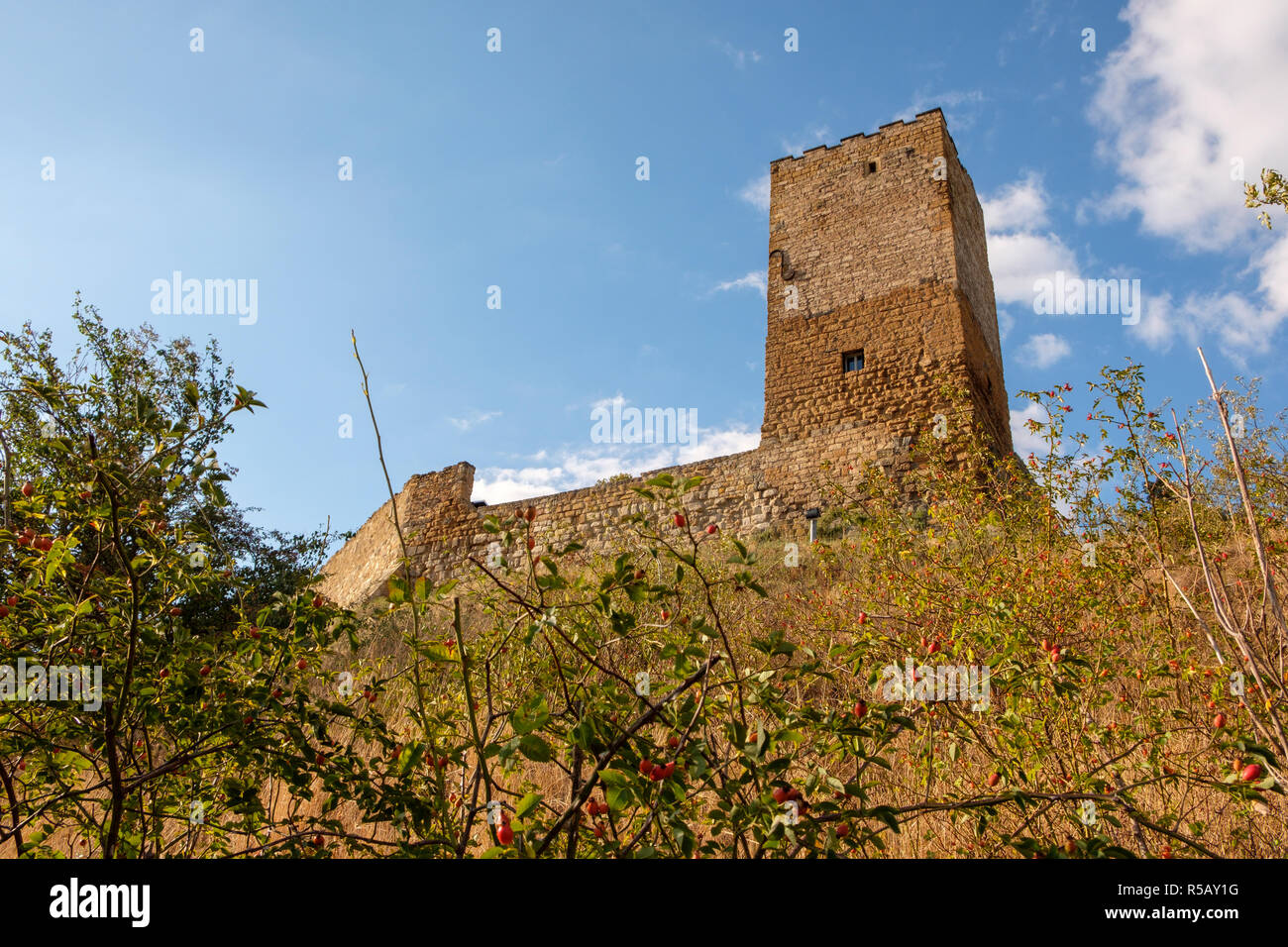 Castle ruins of the castle Gleichen, Wandersleben, Gotha district, Thuringia Stock Photo