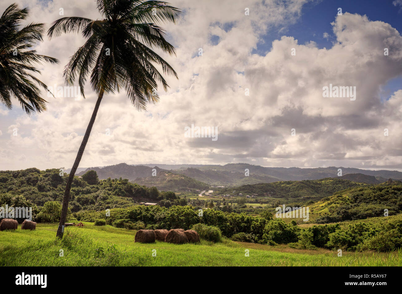 Caribbean, Barbados, View from Cherry Tree Hill Stock Photo Alamy