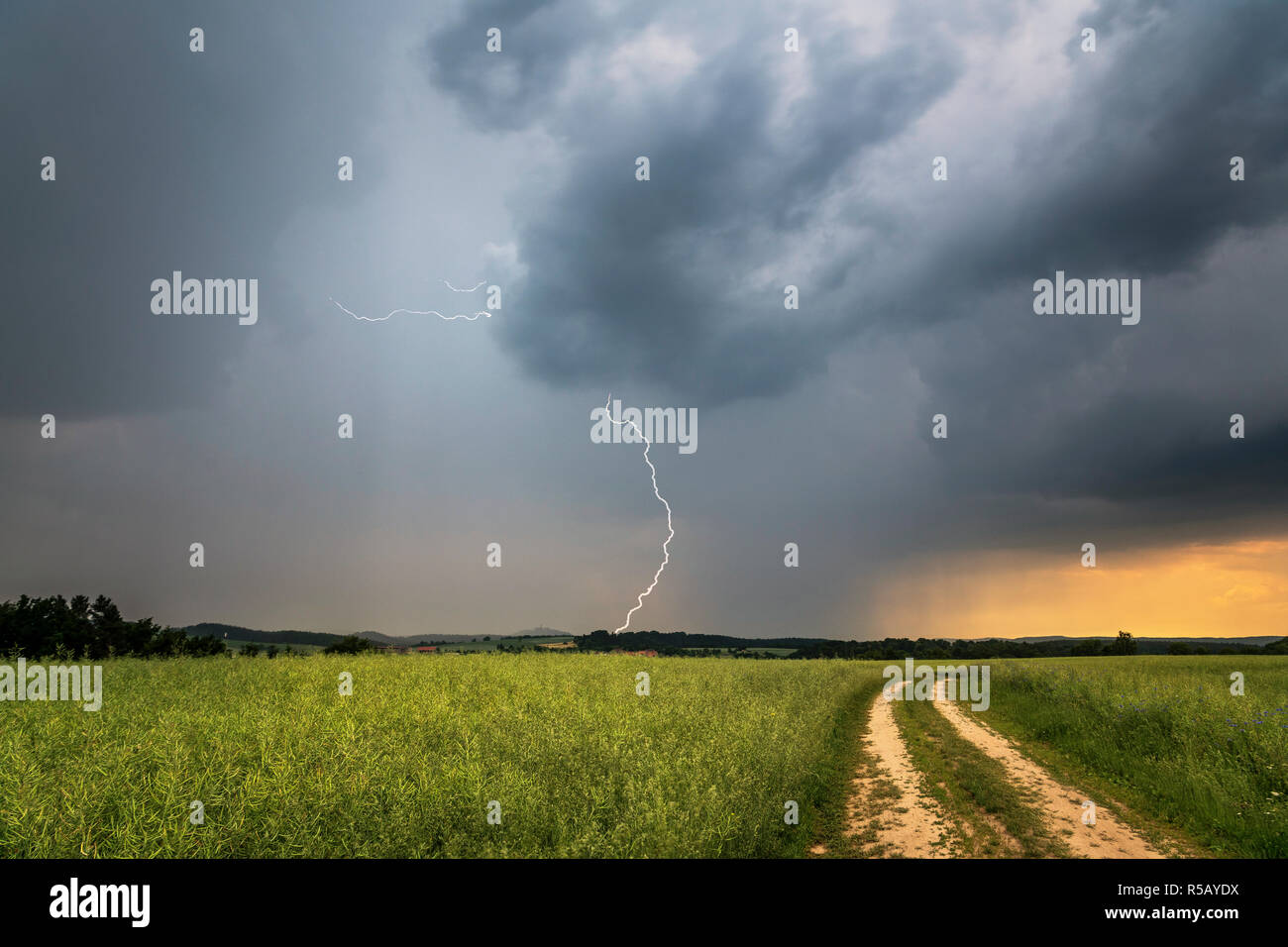 Thunderstorms, storm clouds over a rape field, Thuringia, Germany Stock Photo