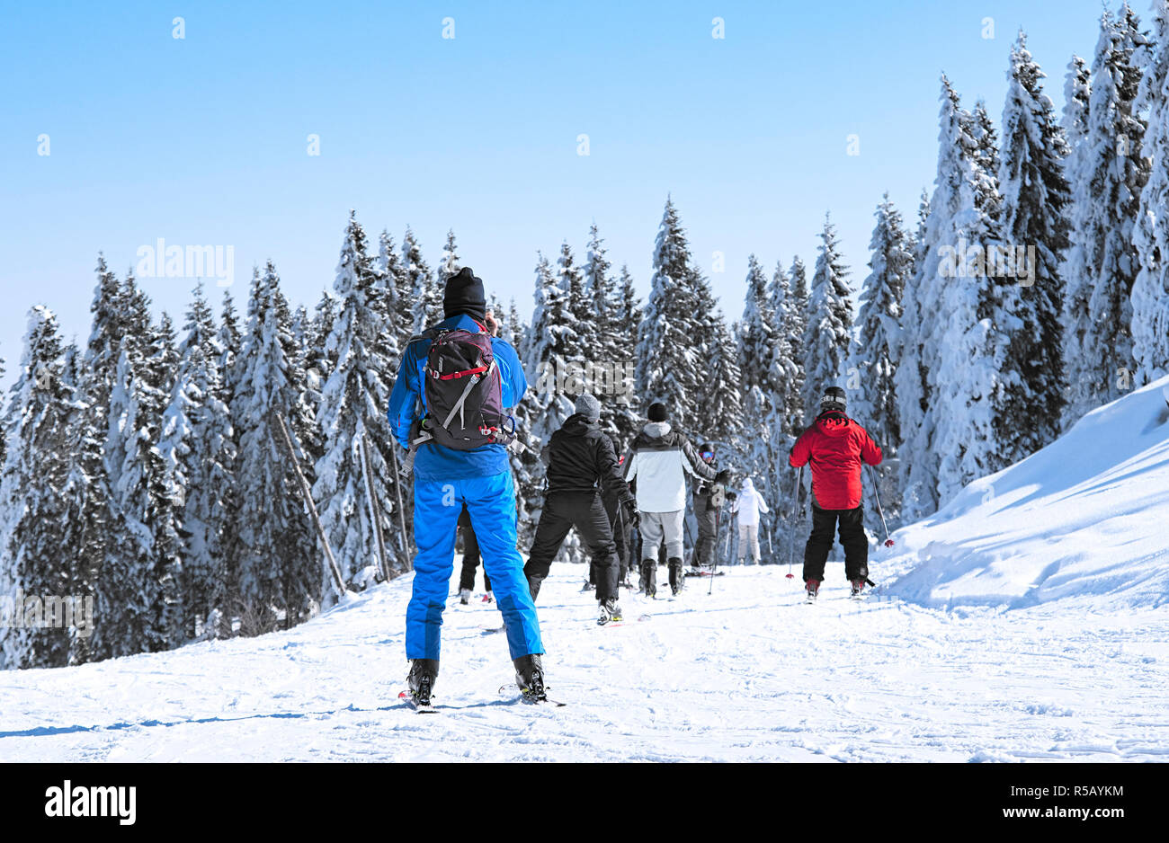 a skiers descends from a mountain forest Stock Photo