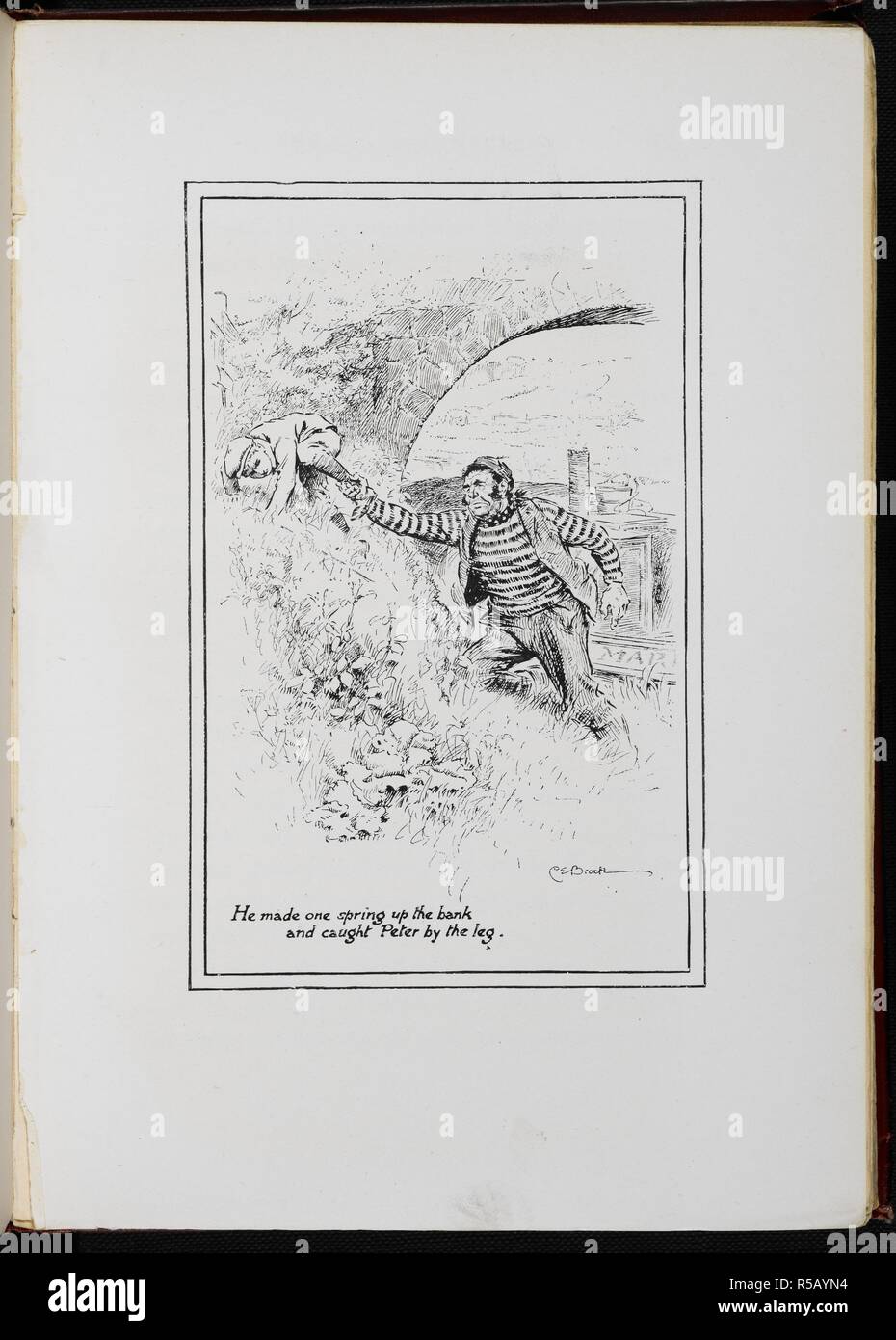 'He made a spring up the bank, and caught Peter'. The Railway Children With drawings by C E Brock. London : Wells Gardner & Co., 1906. Source: 12813.y.7 page 166. Language: English. Author: Brock, Charles Edmund. Nesbit, afterwards Bland, Edith. Stock Photo
