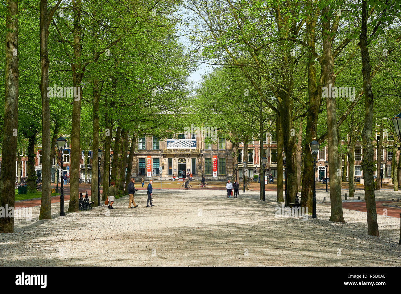 Park Allee on the Voorhout with a view of the Escher Museum in Het Paleis, The Hague, South Holland, Netherlands, Benelux Stock Photo