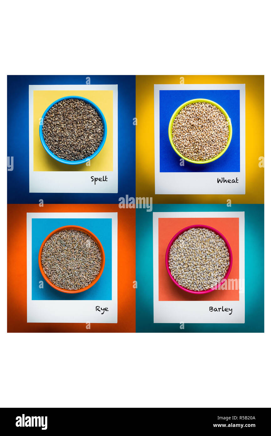 Foods containing gluten( selt, wheat, rye, barley Stock Photo Alamy