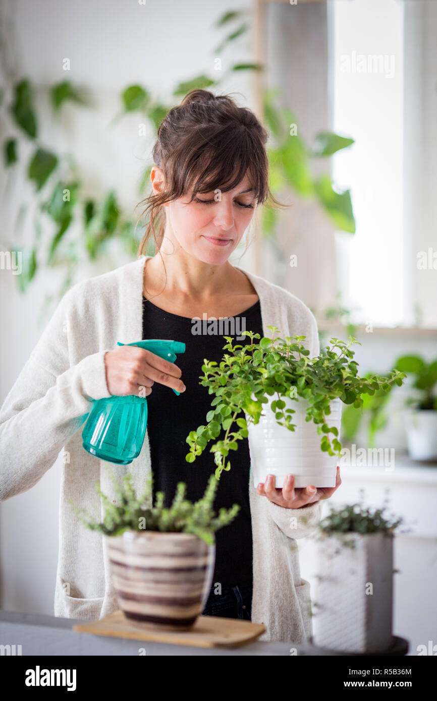 Woman spraying water on plant Stock Photo Alamy