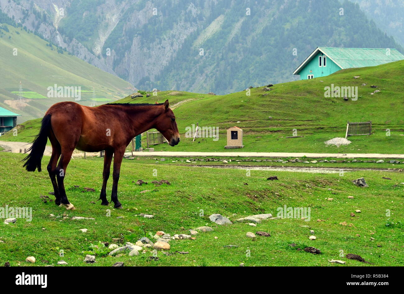 Kashmir wallpaper hi-res stock photography and images - Alamy