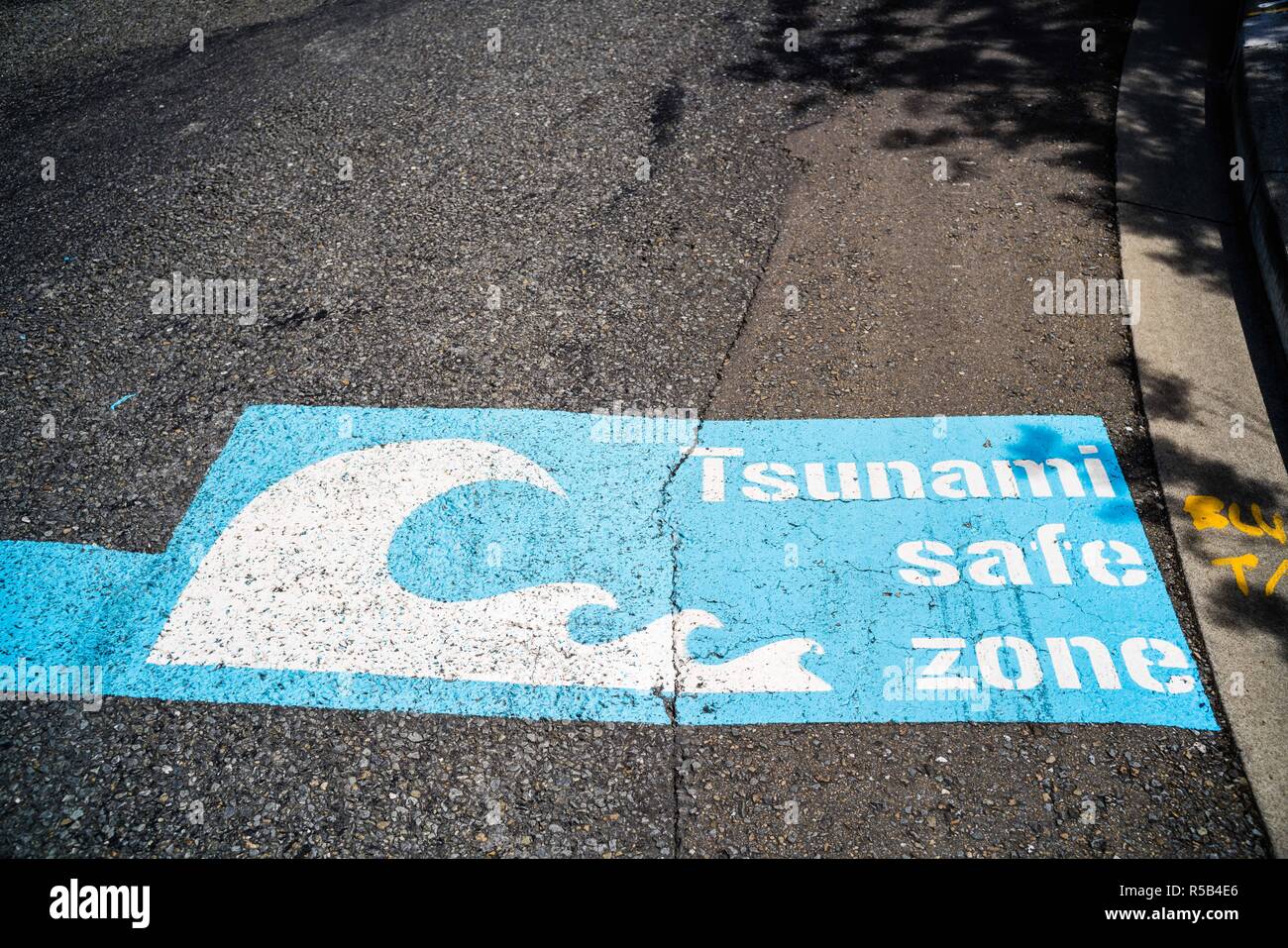 Tsunami evacuation zones wellington