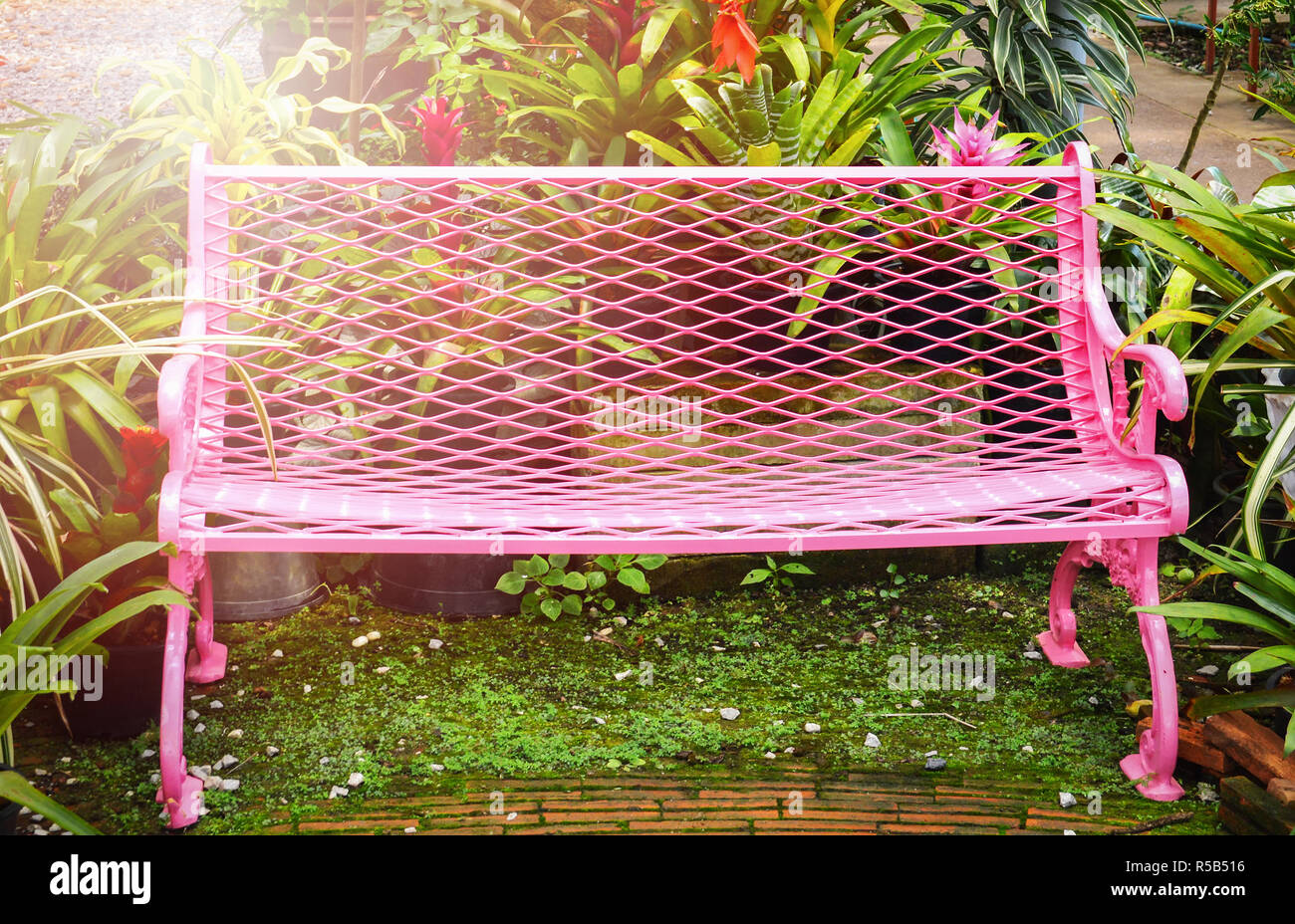 garden bench outdoors / pink vintage bench chair in the garden flowers  spring with green plant background Stock Photo - Alamy