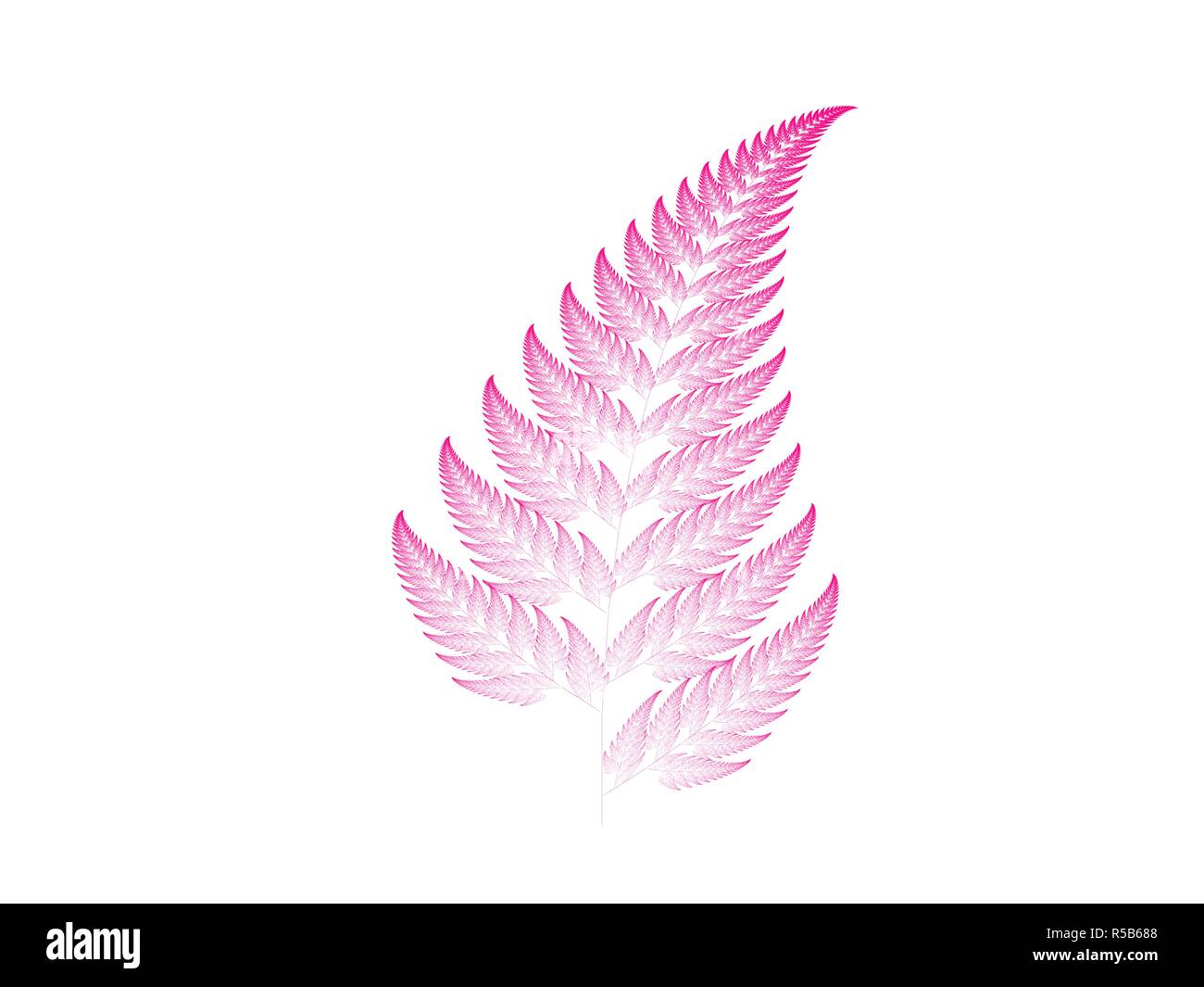 Pink fractal background Stock Photo