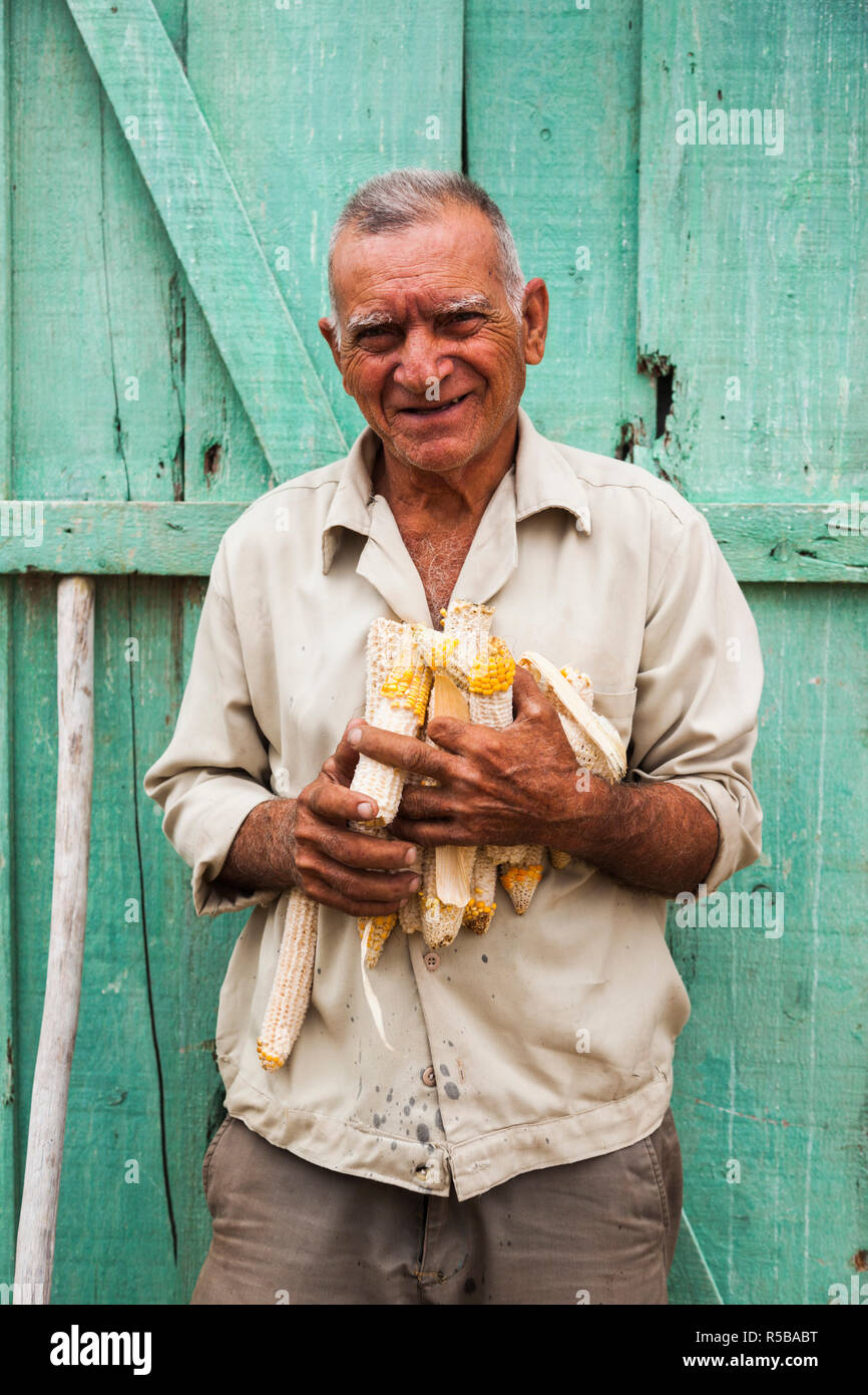 Cuba, Pinar del Rio Province, San Luis, Alejandro Robaina Tobacco Plantation, older man holding corn Stock Photo