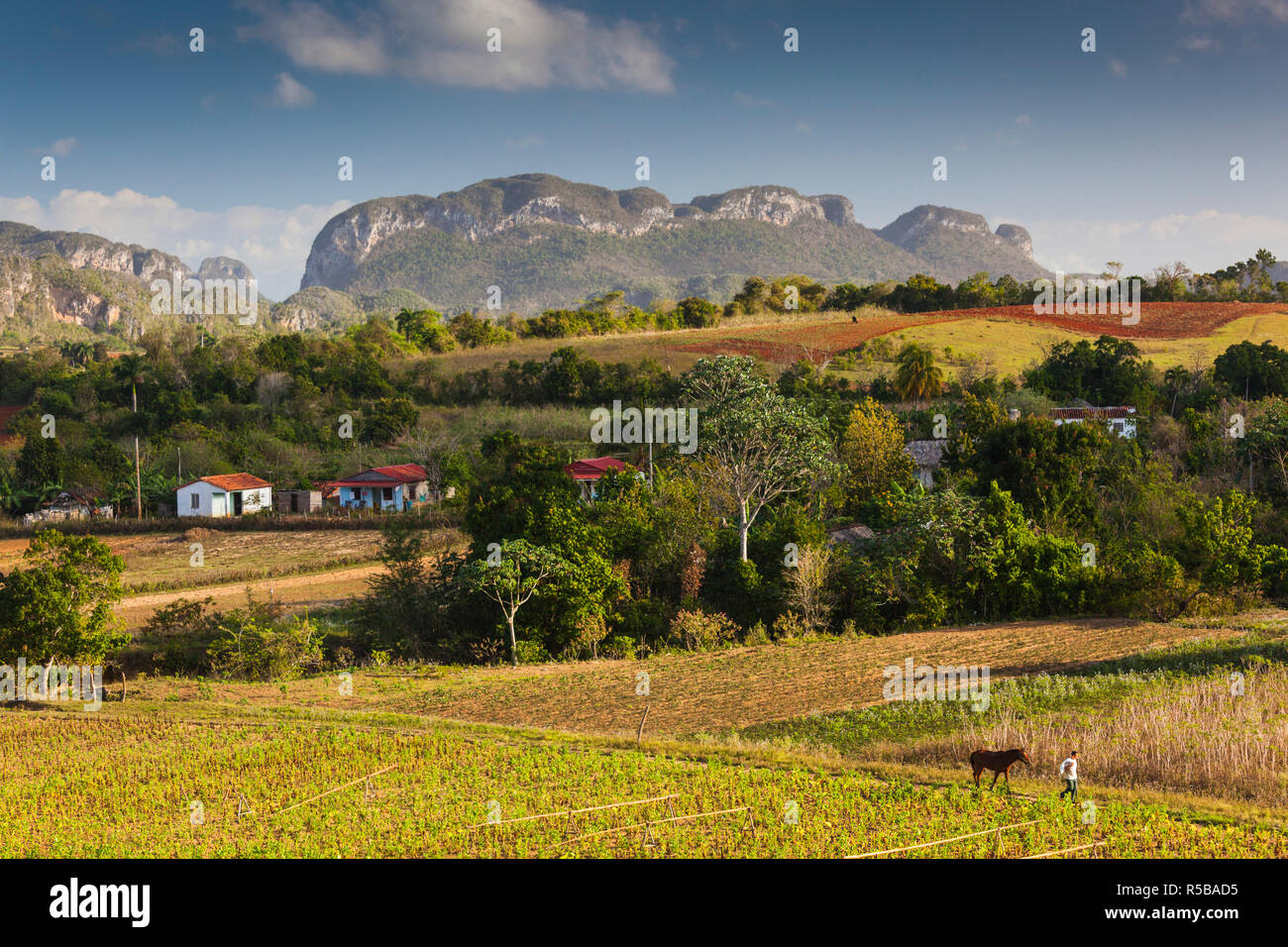 Cuba, Pinar del Rio Province, Vinales, Vinales Valley Stock Photo