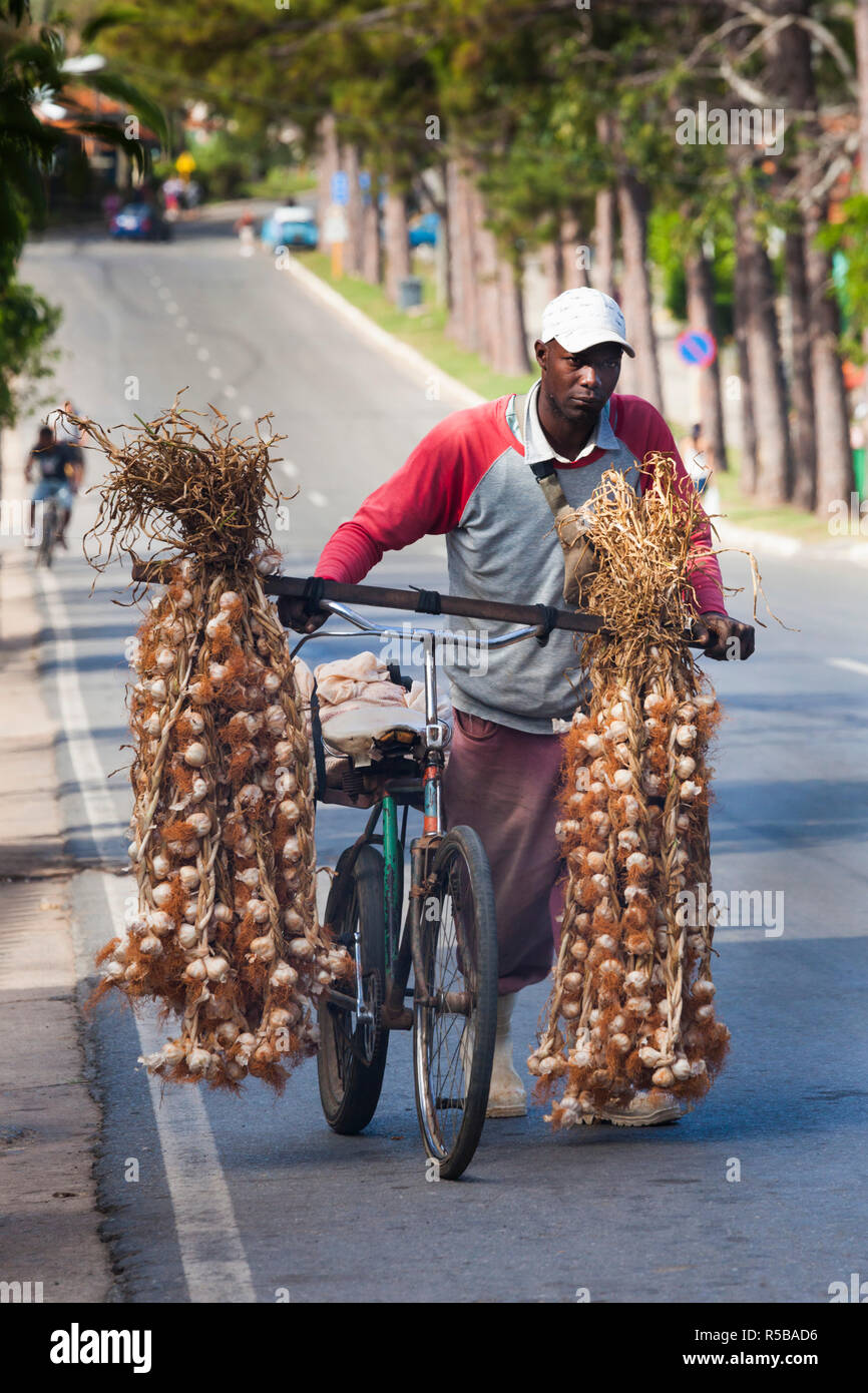 Cuba, Pinar del Rio Province, Vinales, Vinales Valley, onion seller Stock Photo